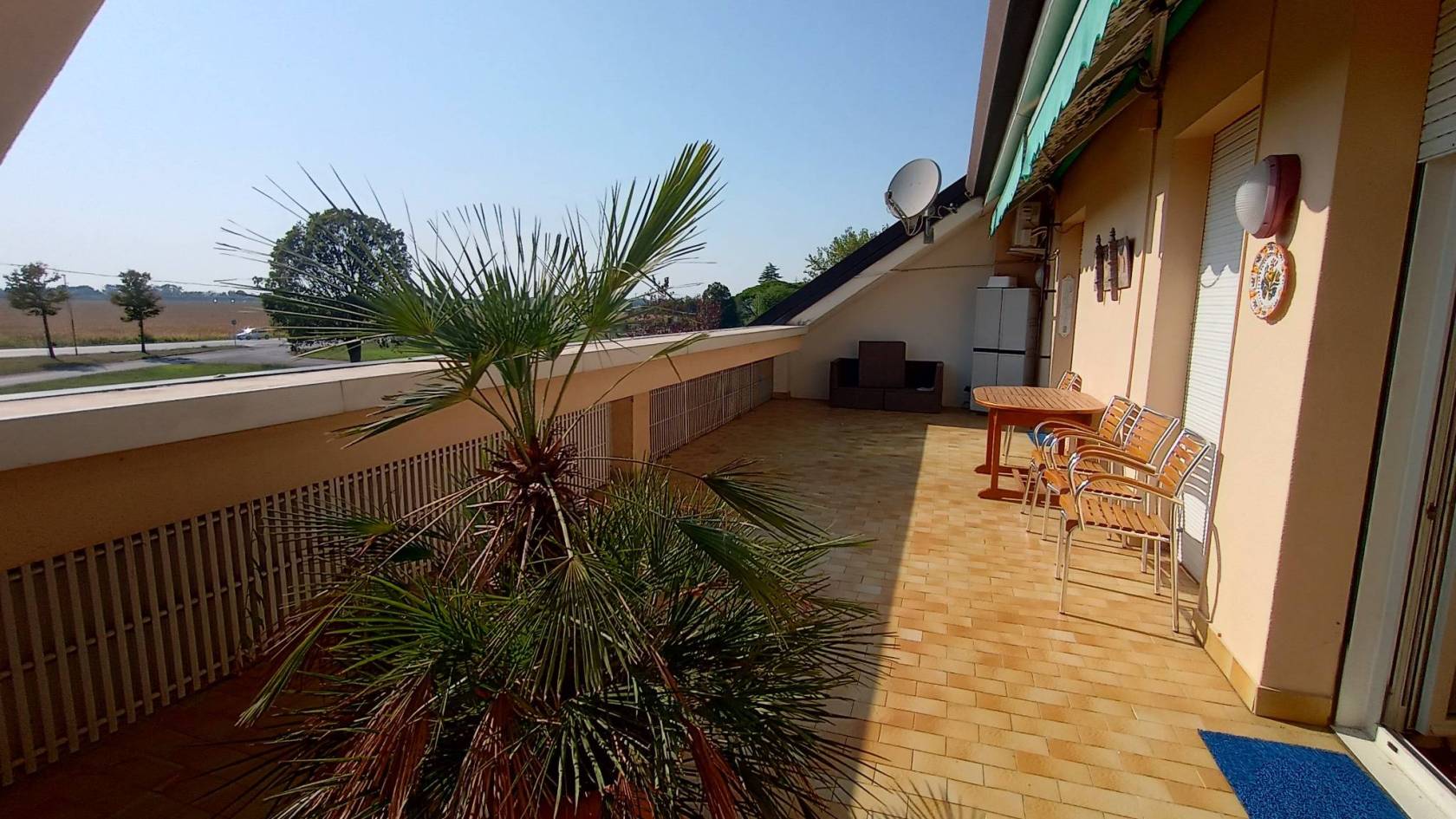 Terrazzo