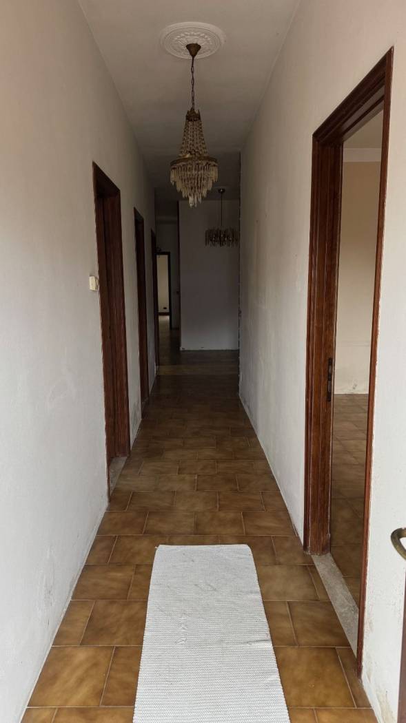 Ingresso