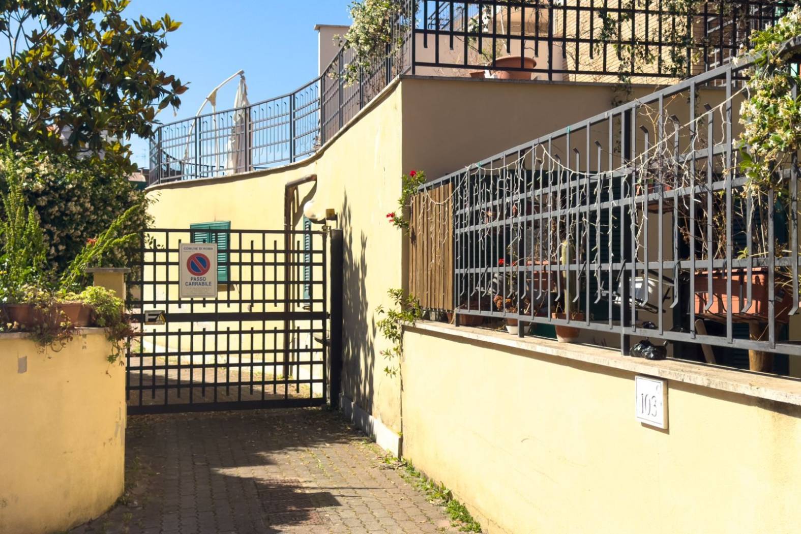 Ingresso