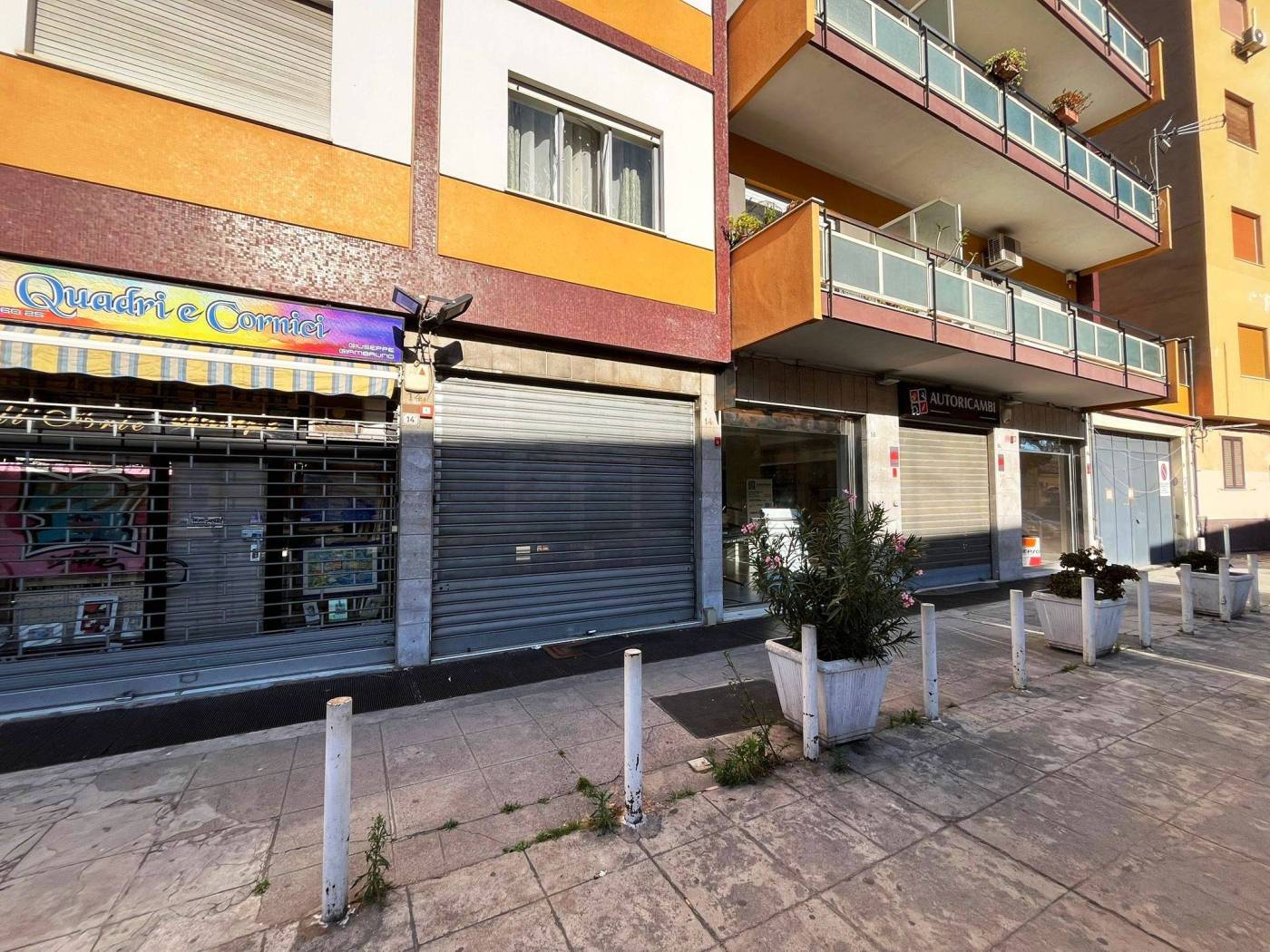 Zona Zona