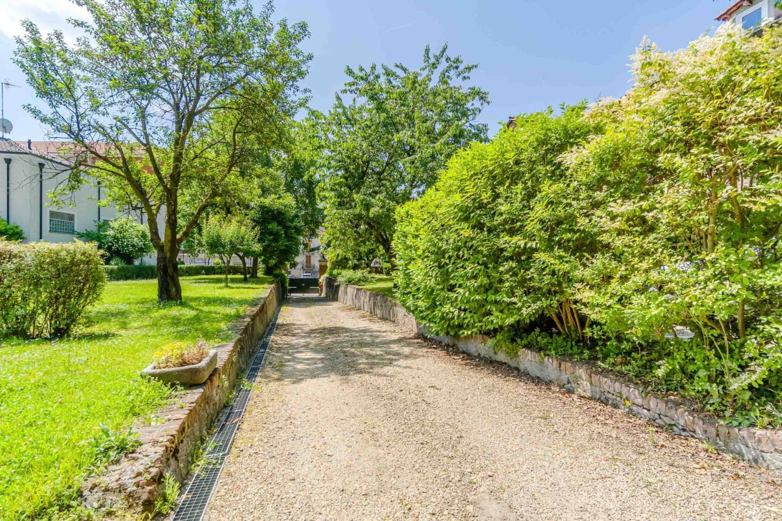 Giardino
