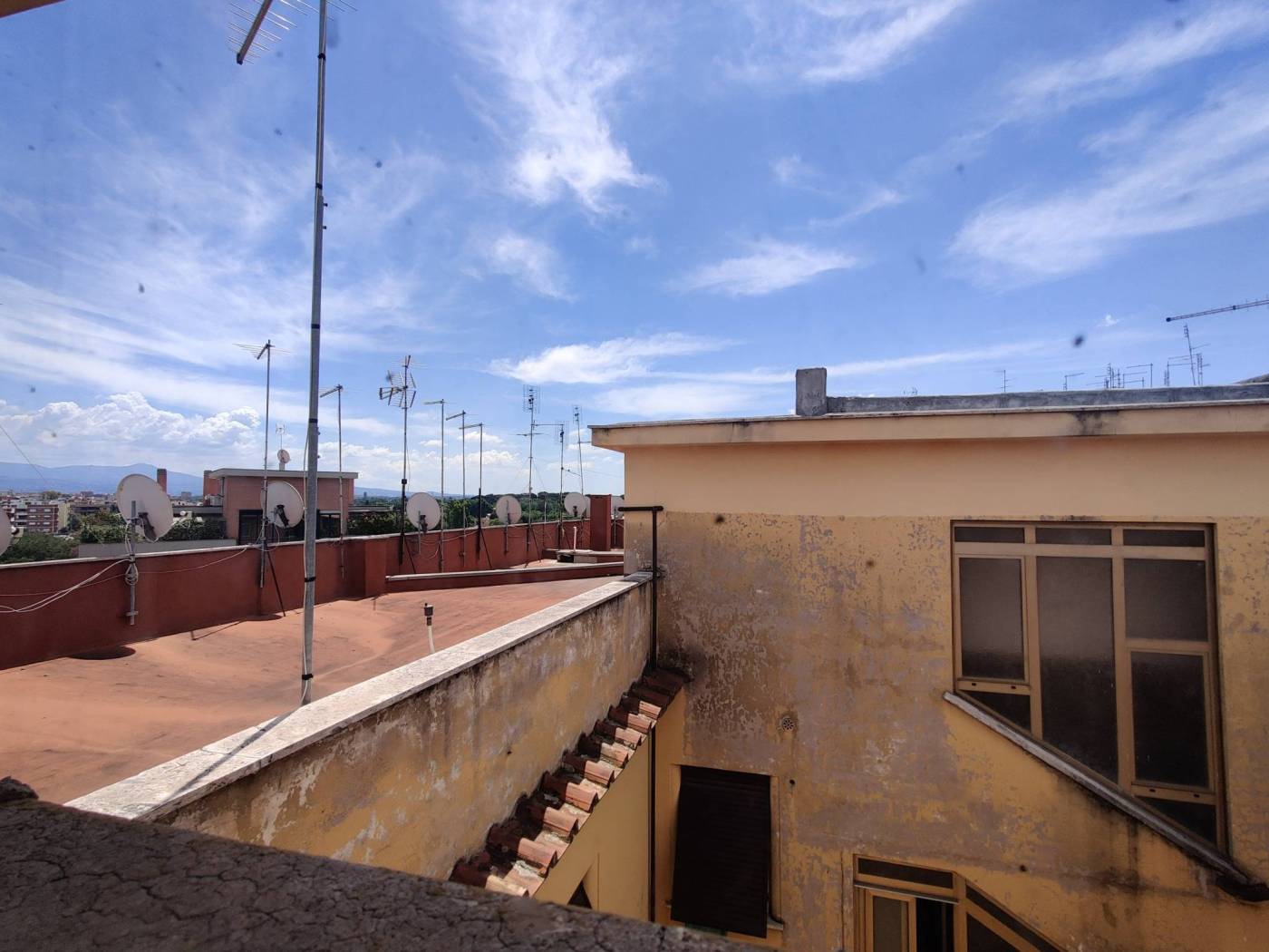 Vista