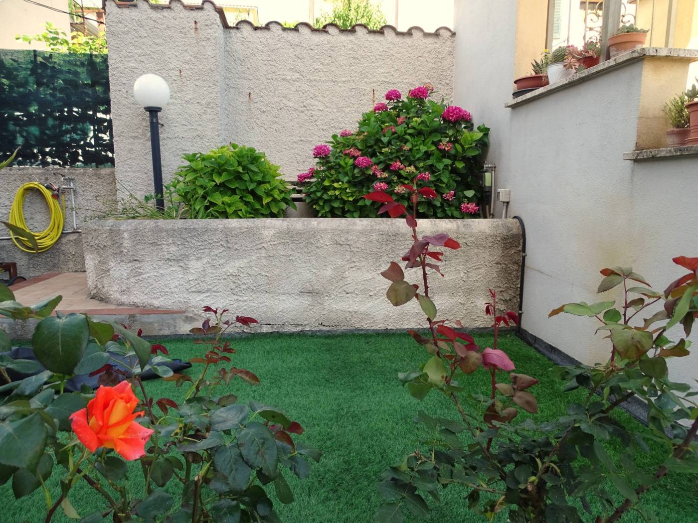 Giardino