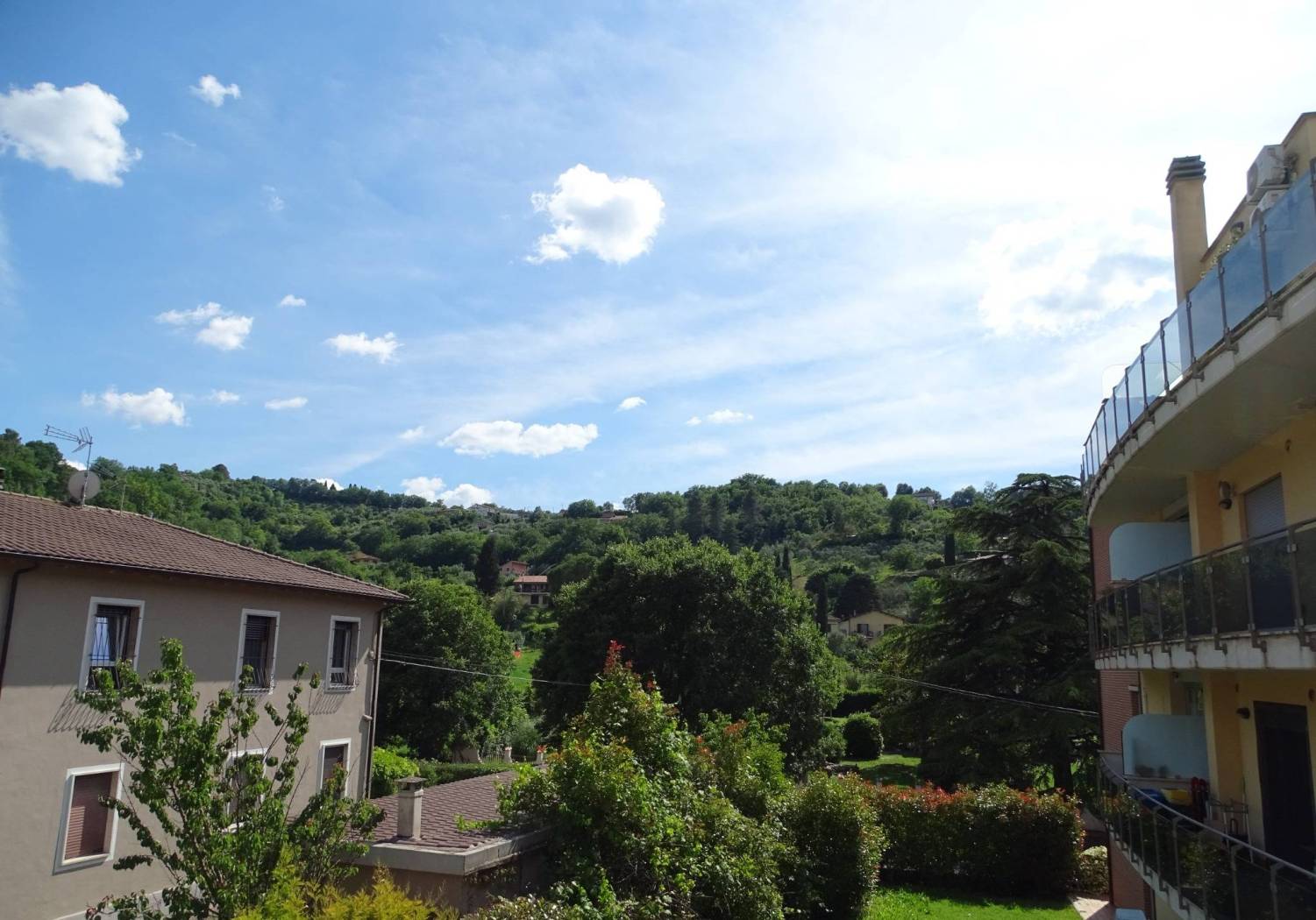 Vista