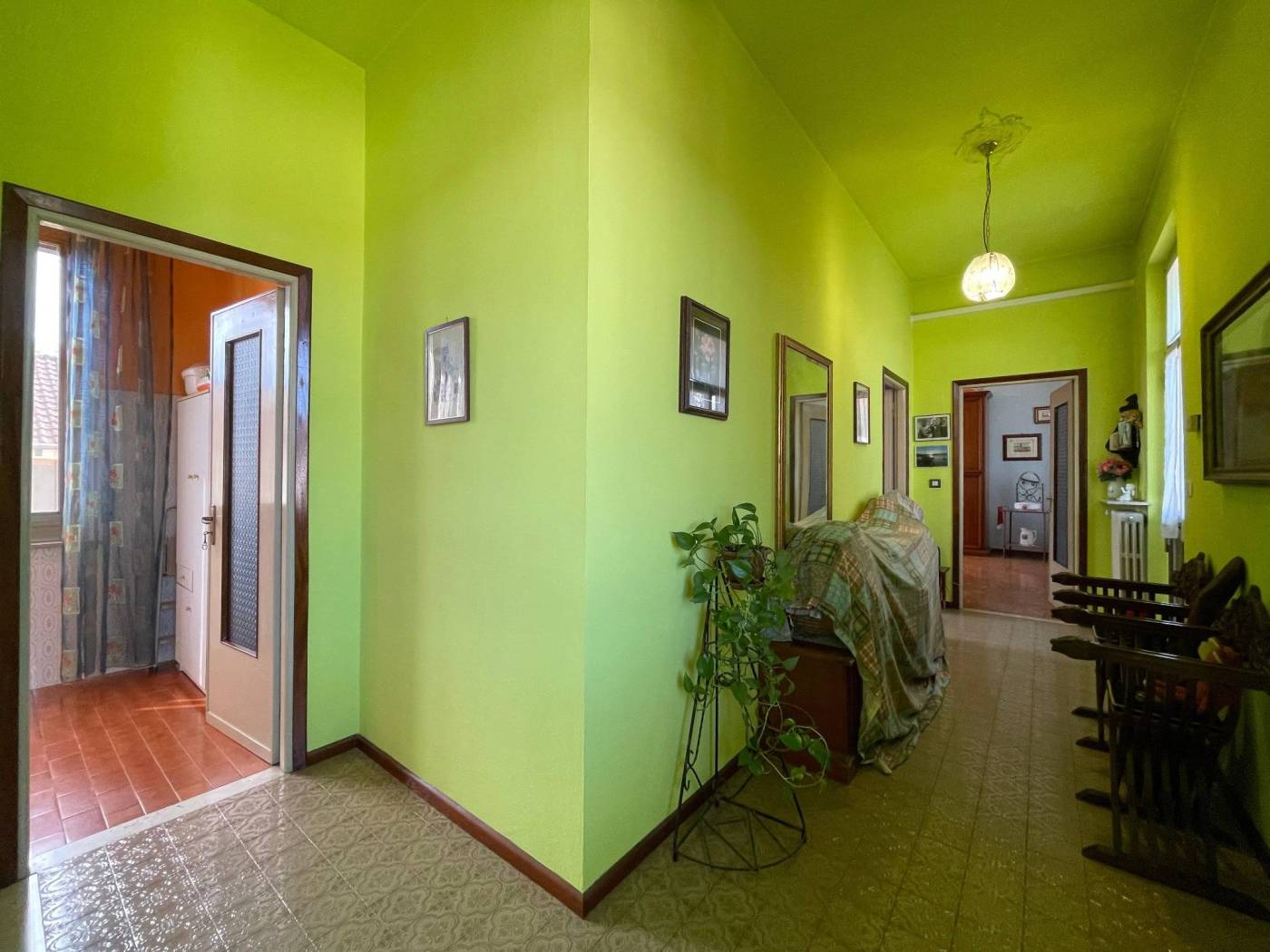 Ingresso
