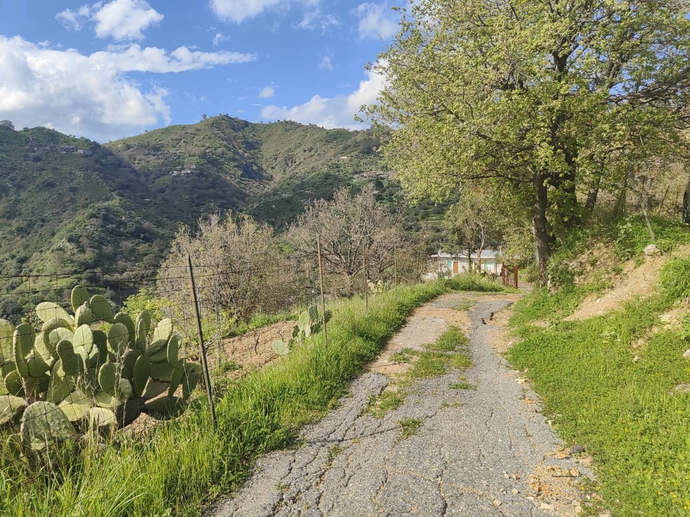 Terreno