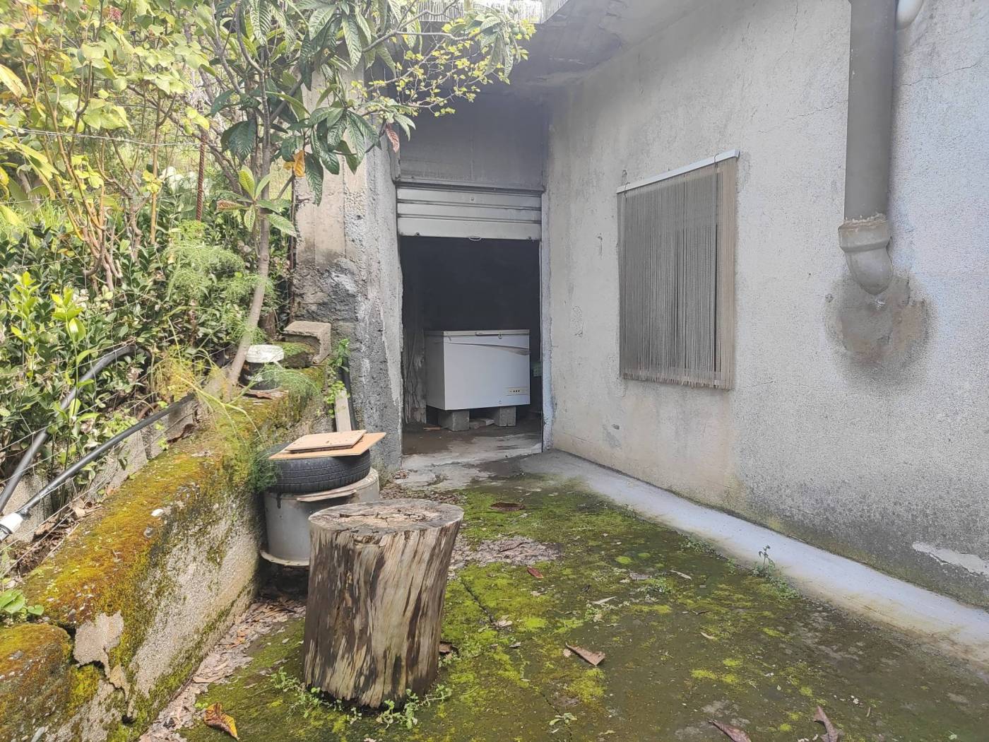 Giardino