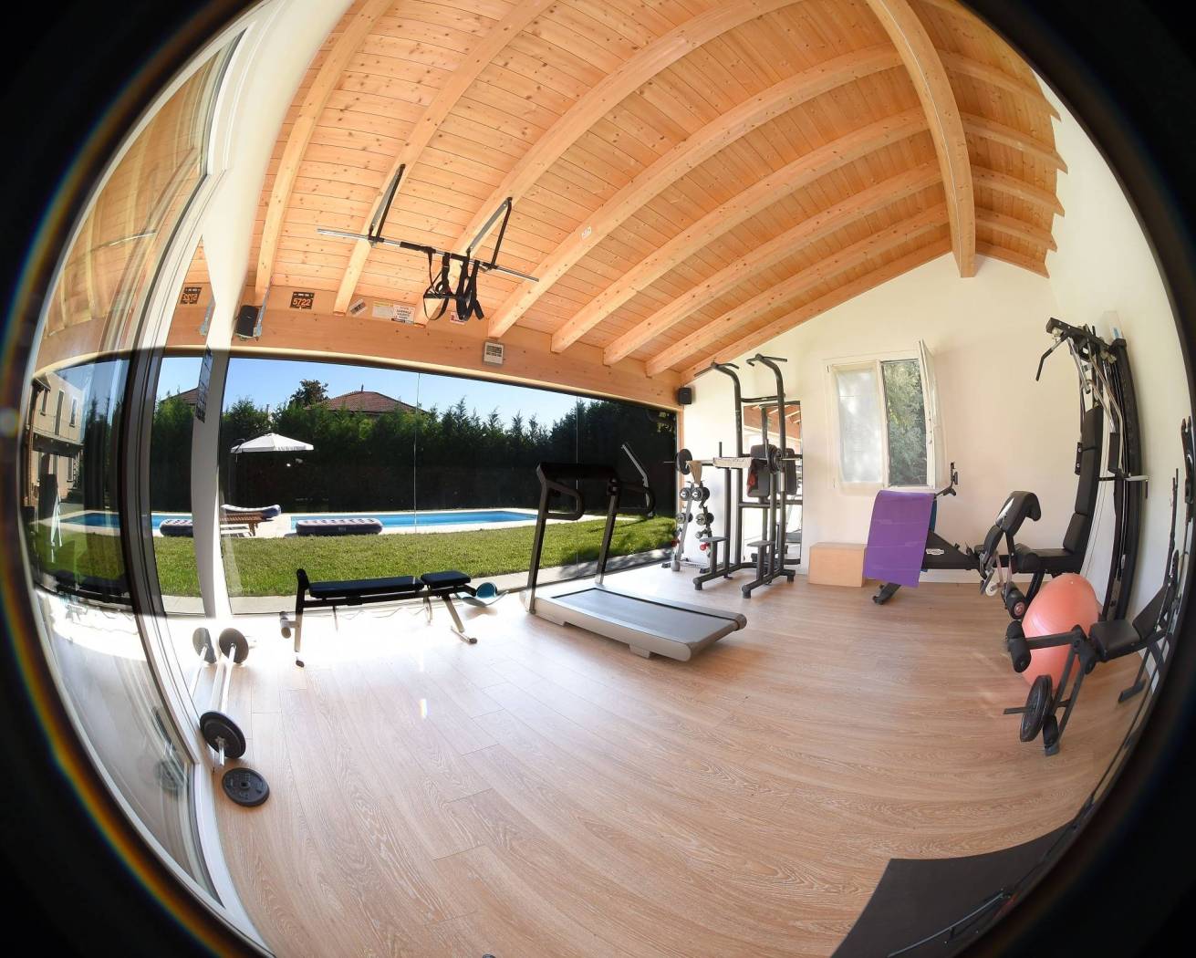 Studio