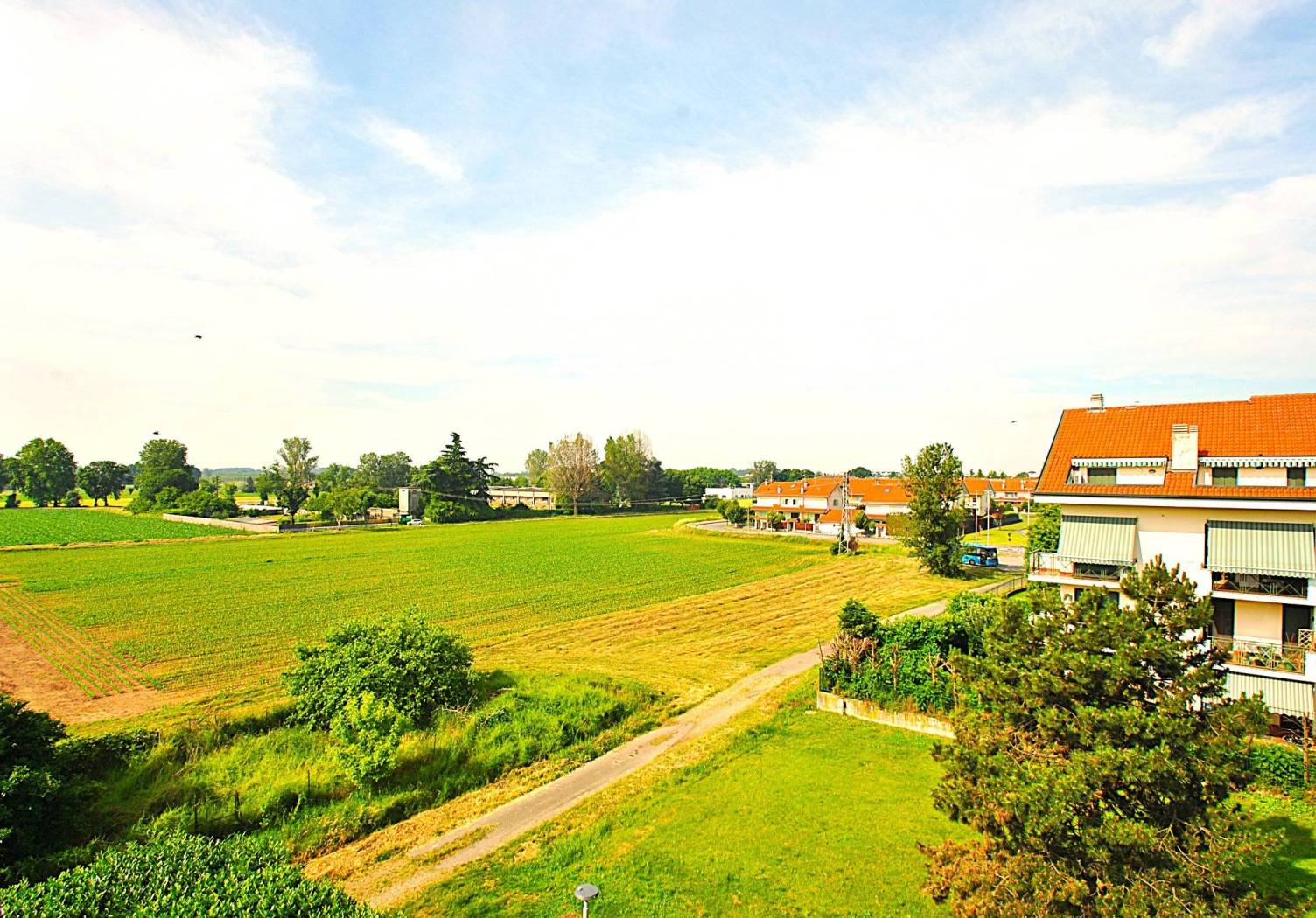 Vista