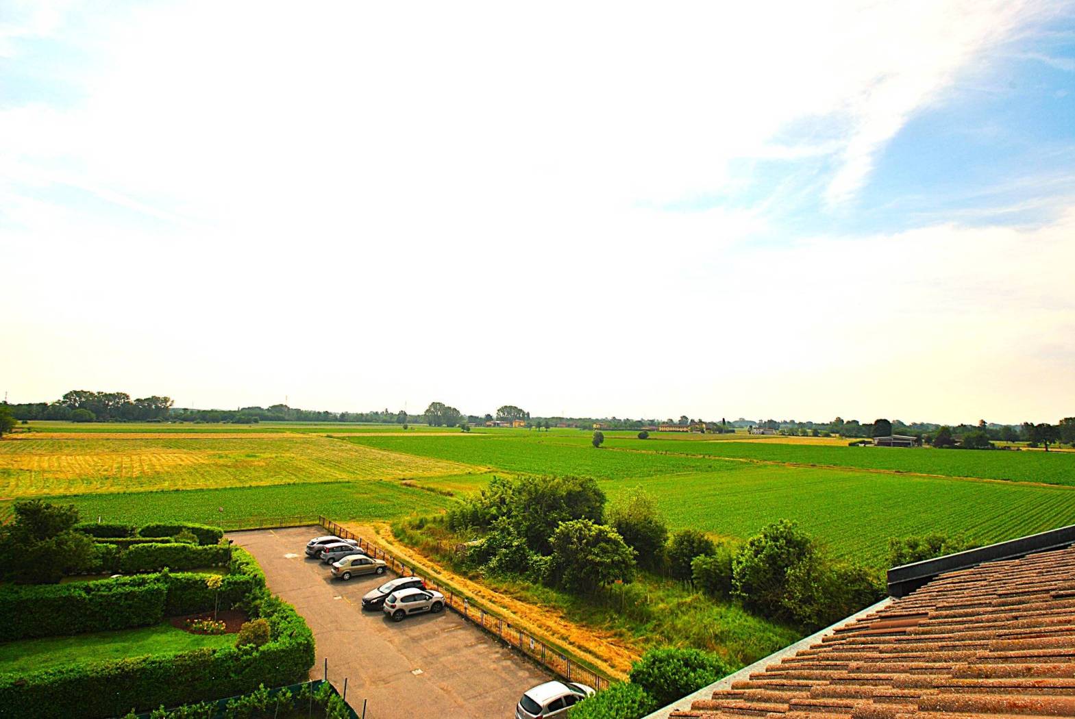 Vista