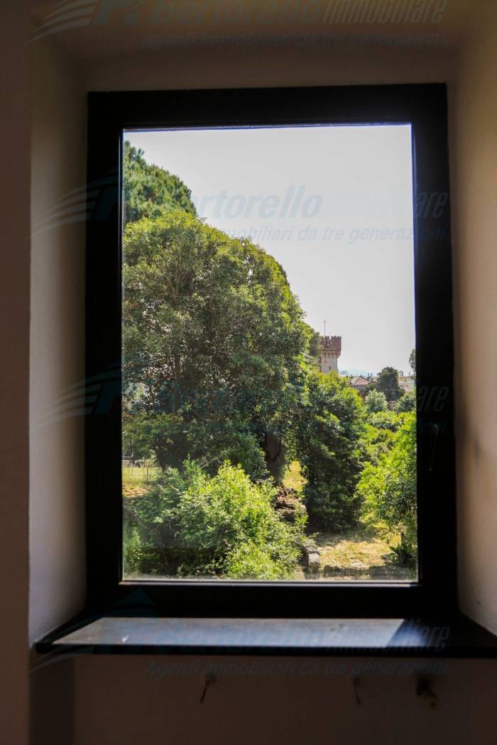 Vista