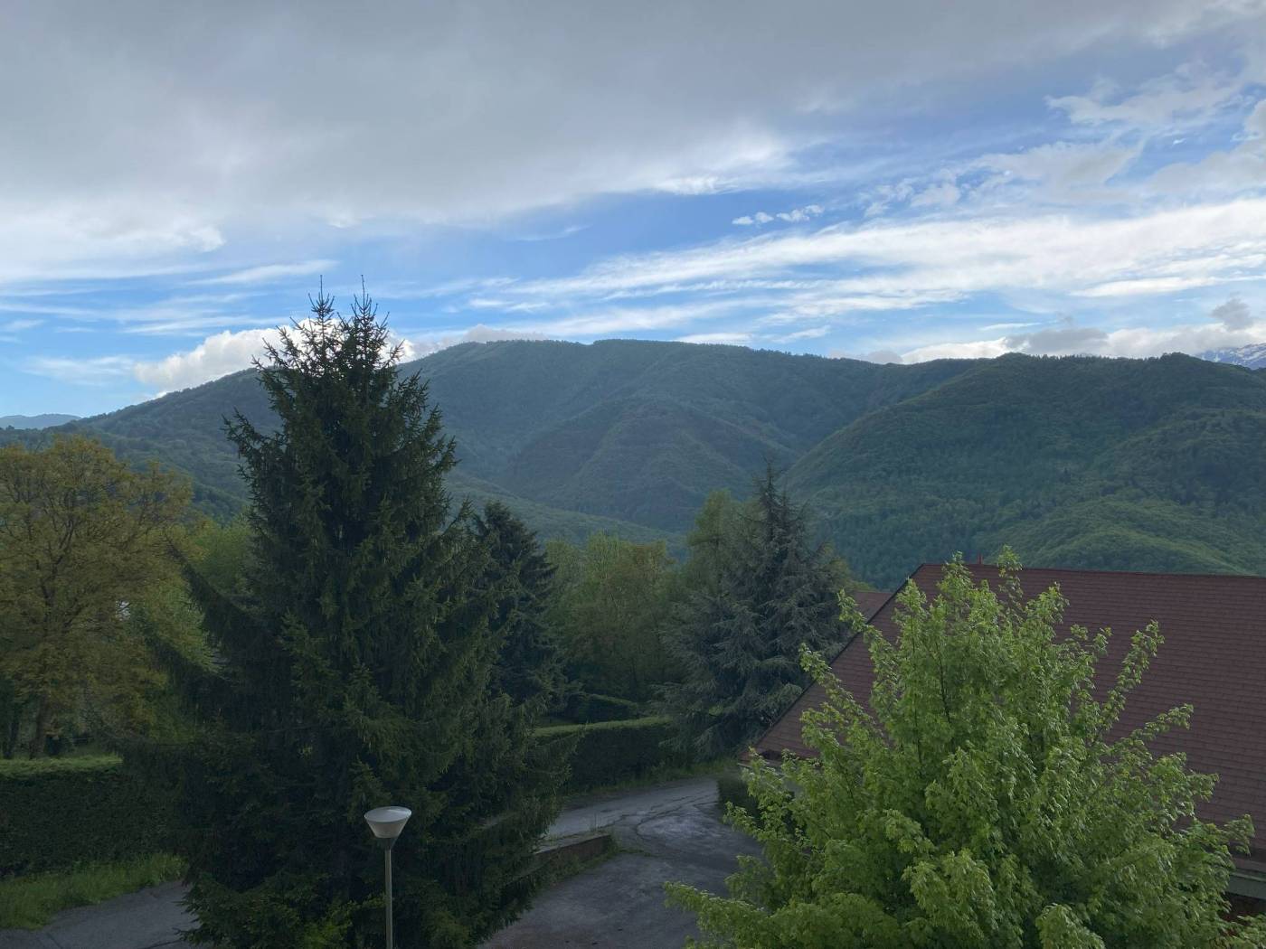 Vista