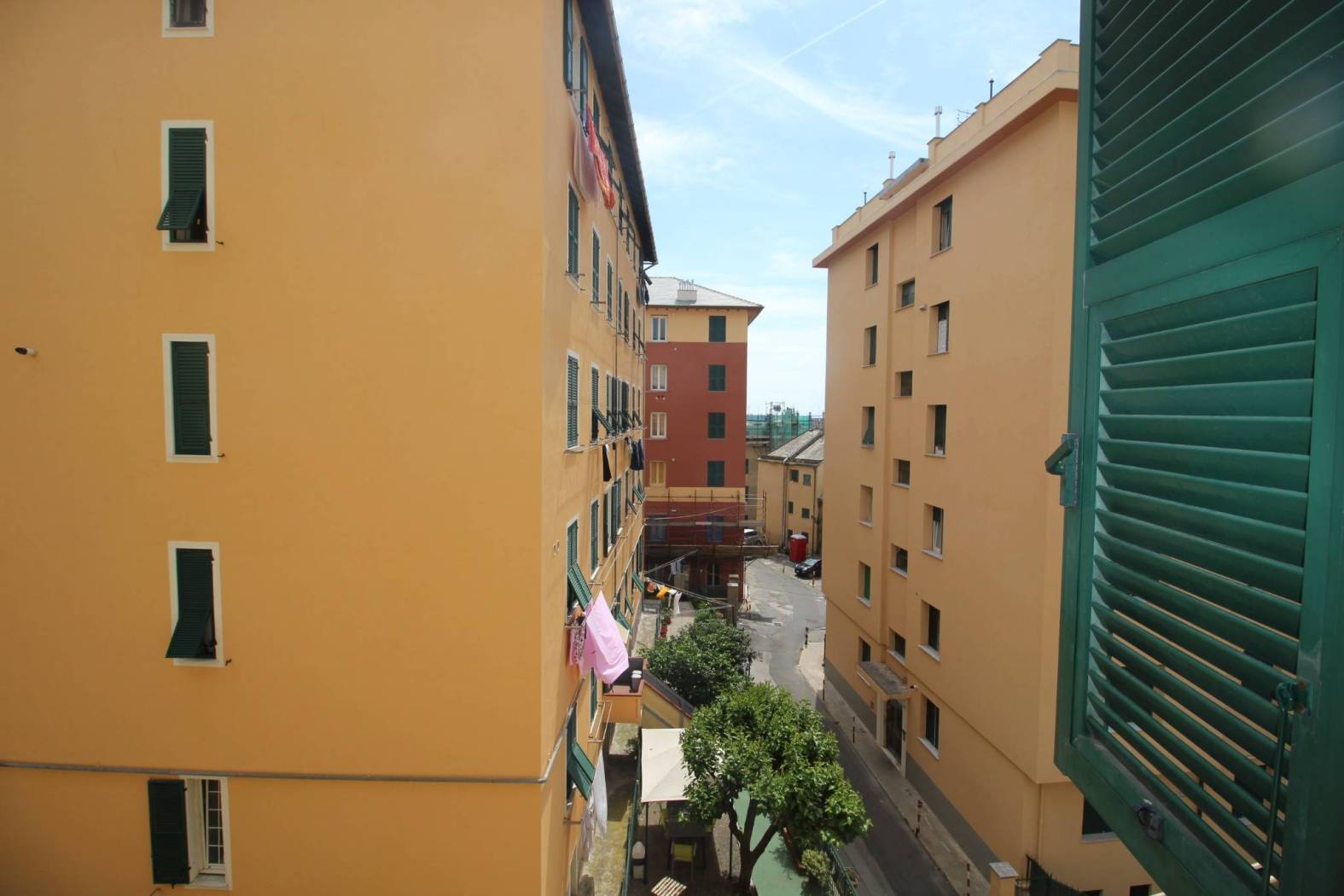 Vista