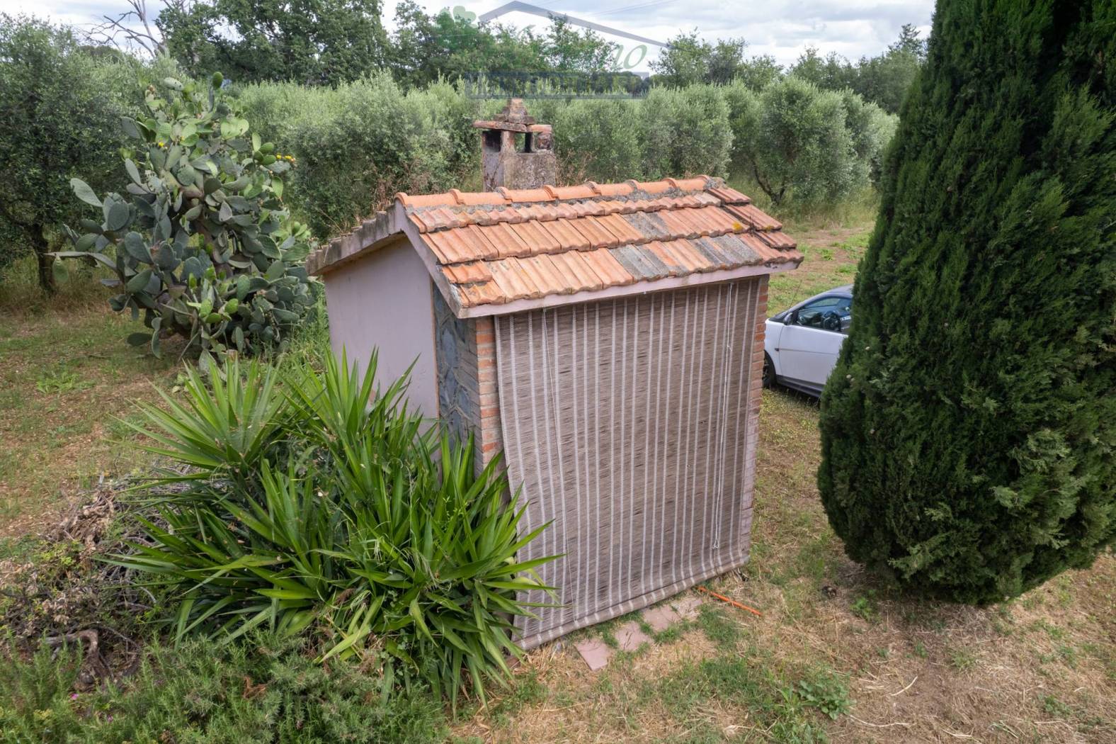 Terreno