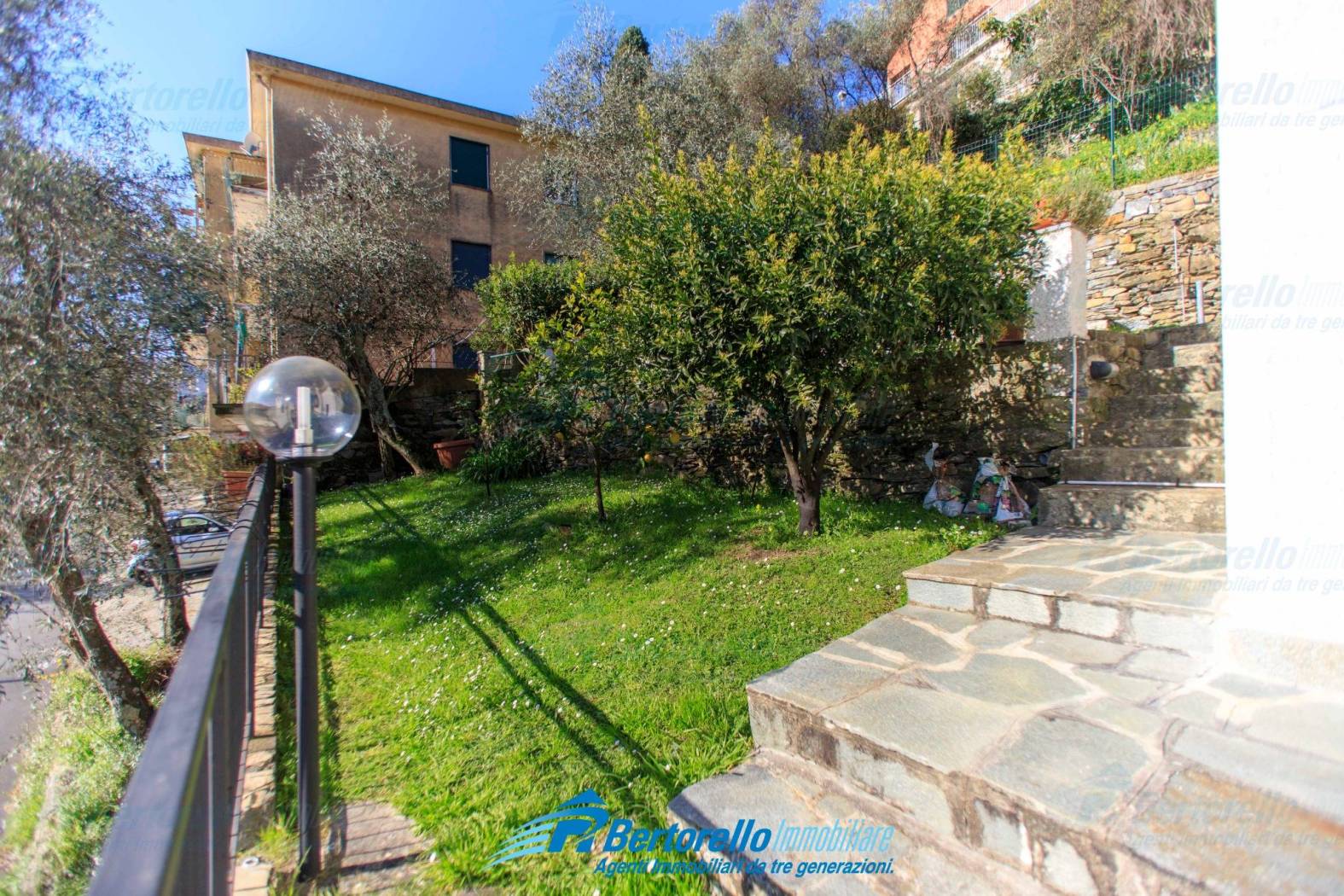 Giardino