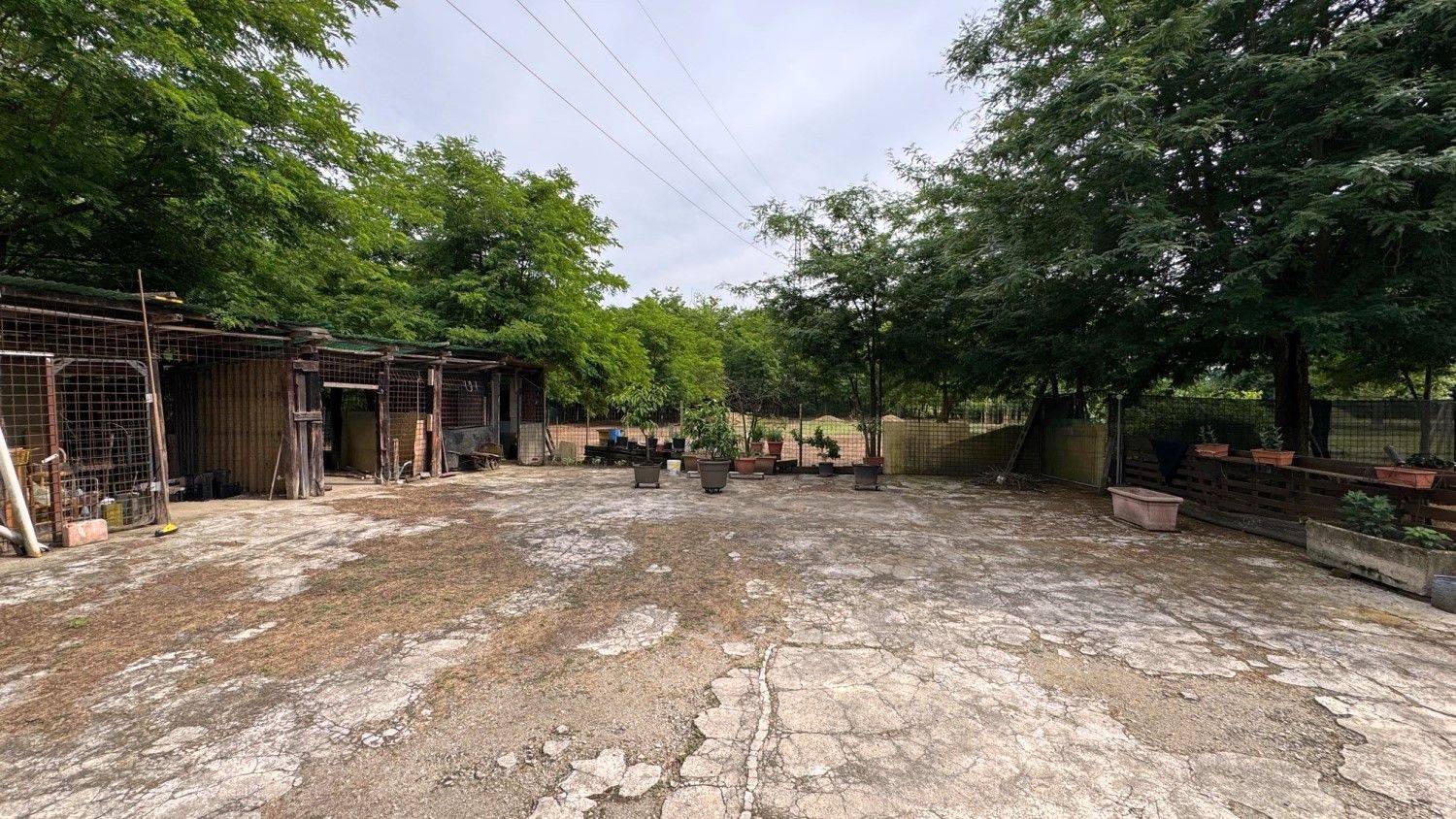 Terreno