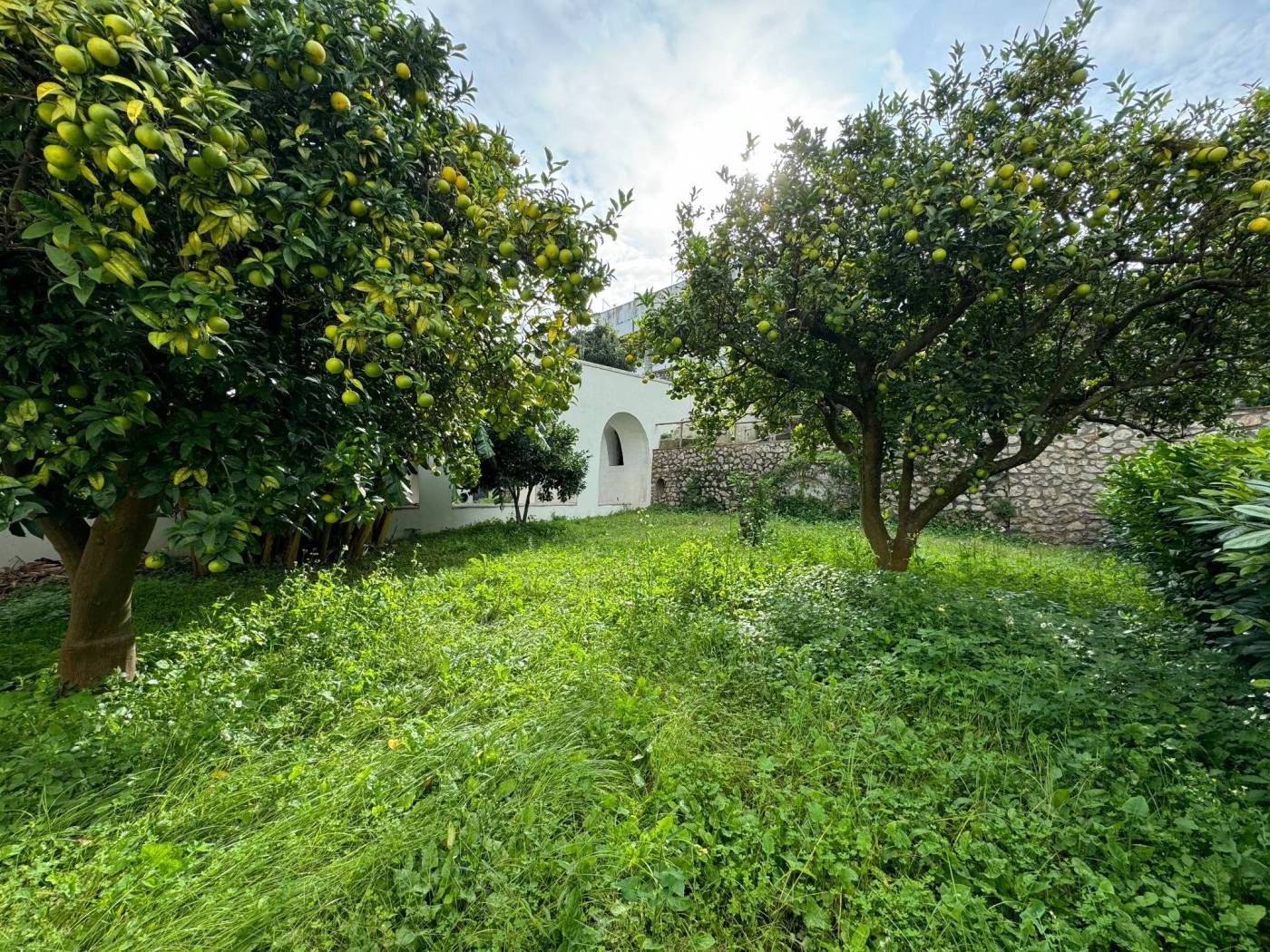 Giardino