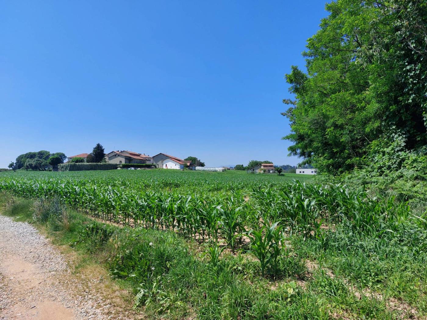 Terreno