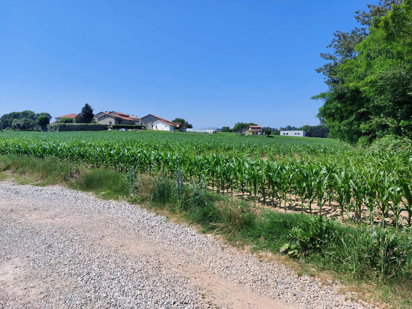 Terreno