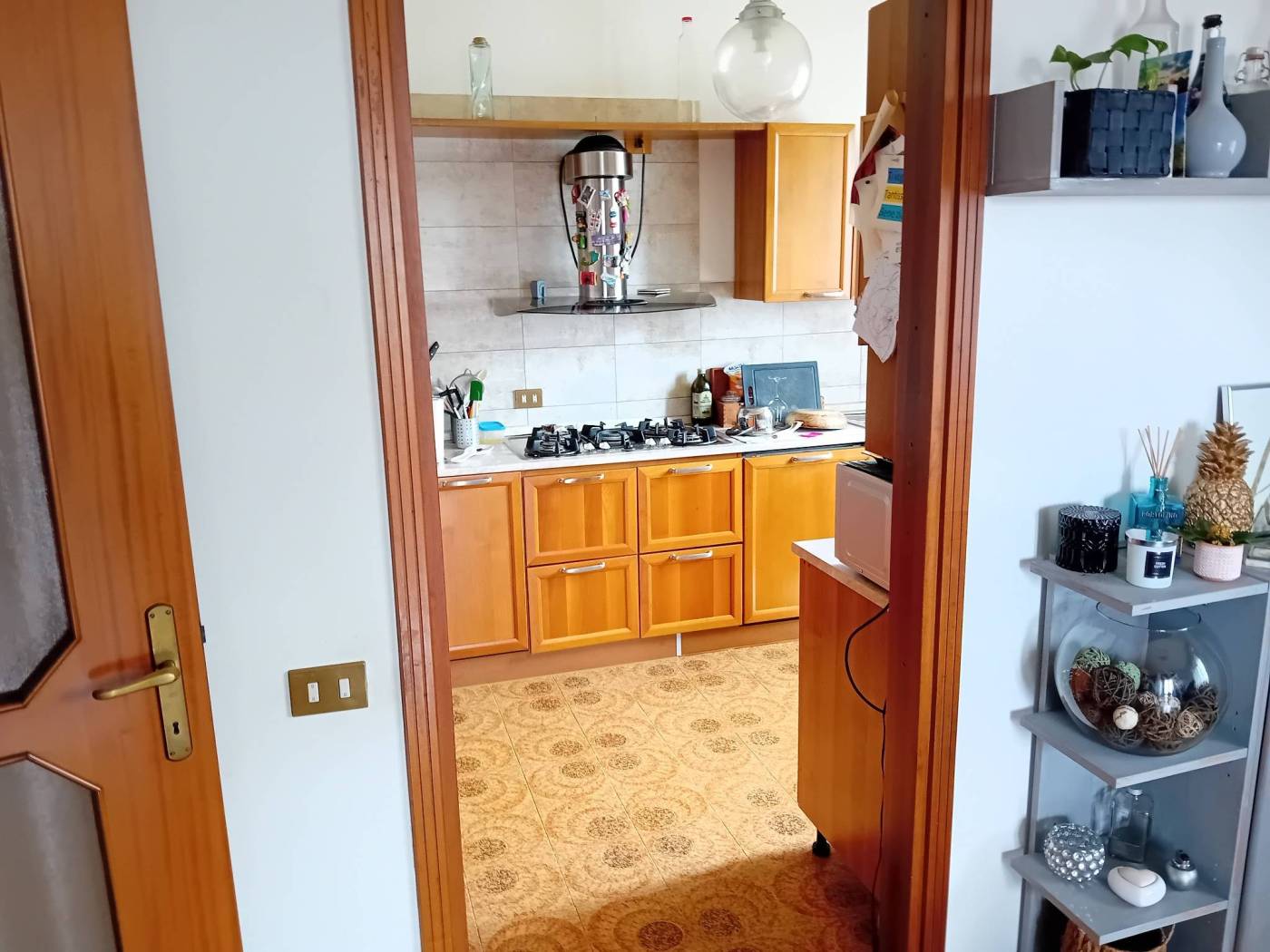 Cucina Cucina