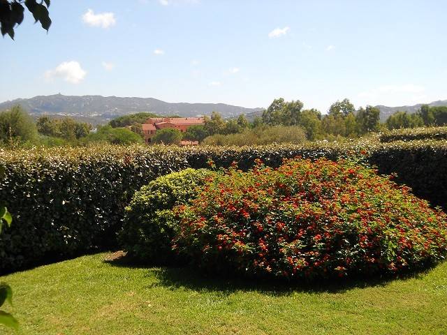 Giardino