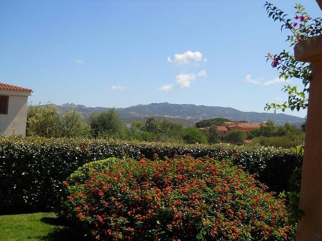 Vista