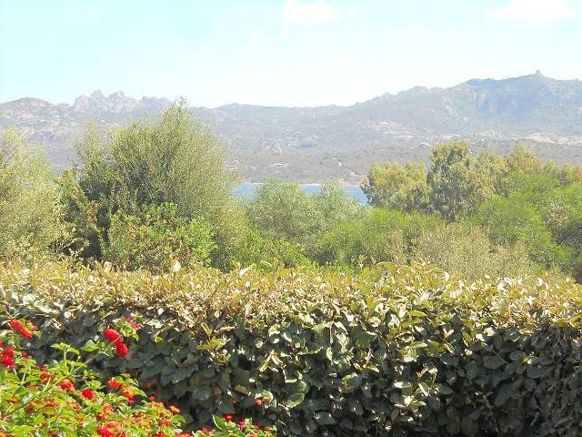 Vista