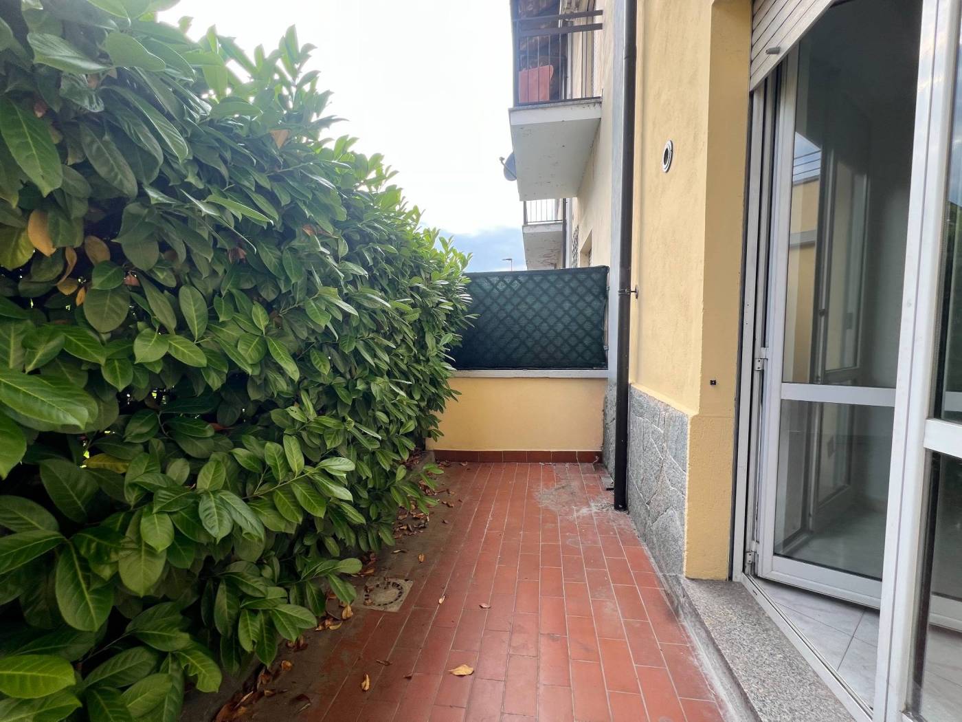 Terrazzo Terrazzo