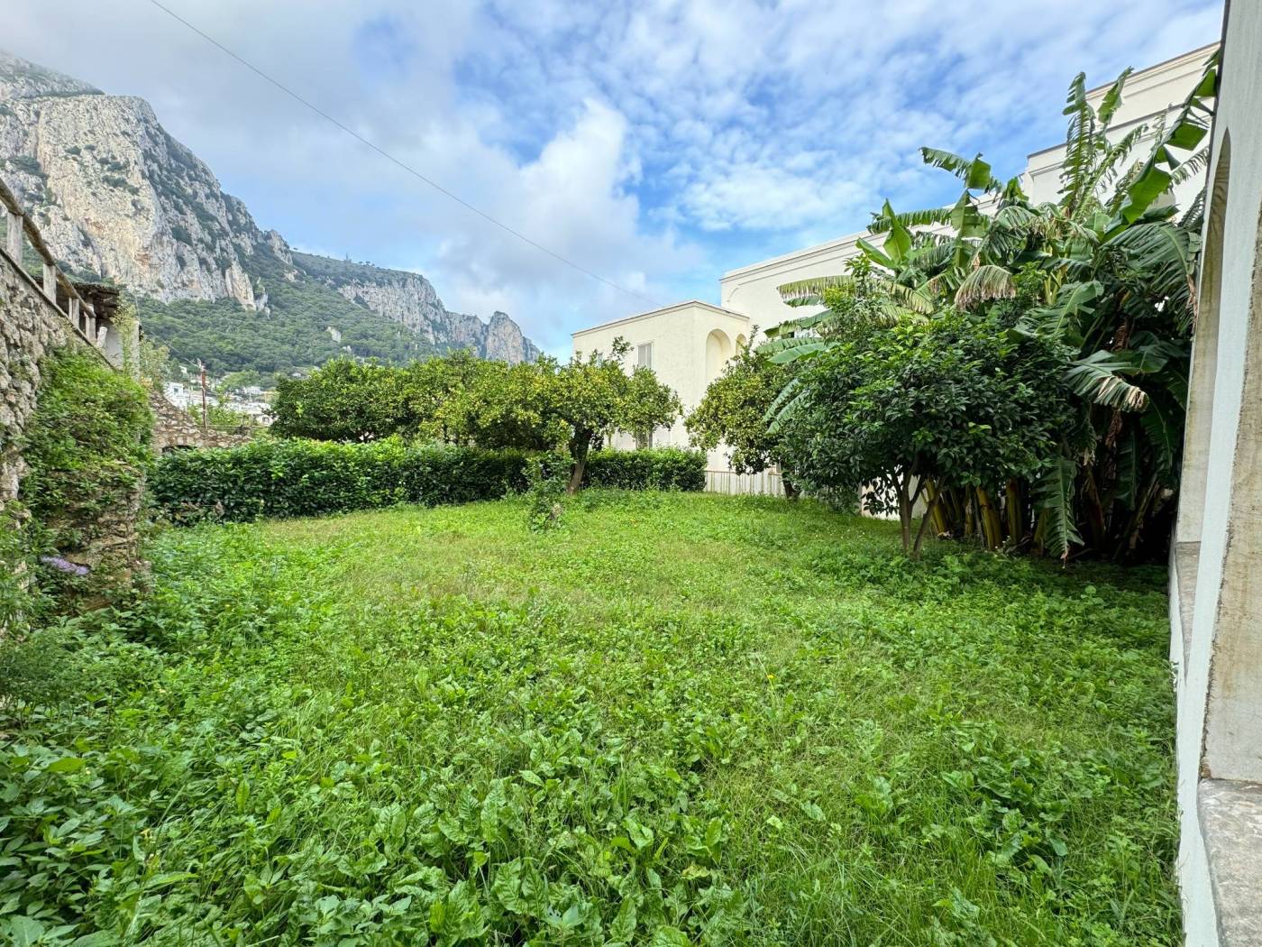 Giardino