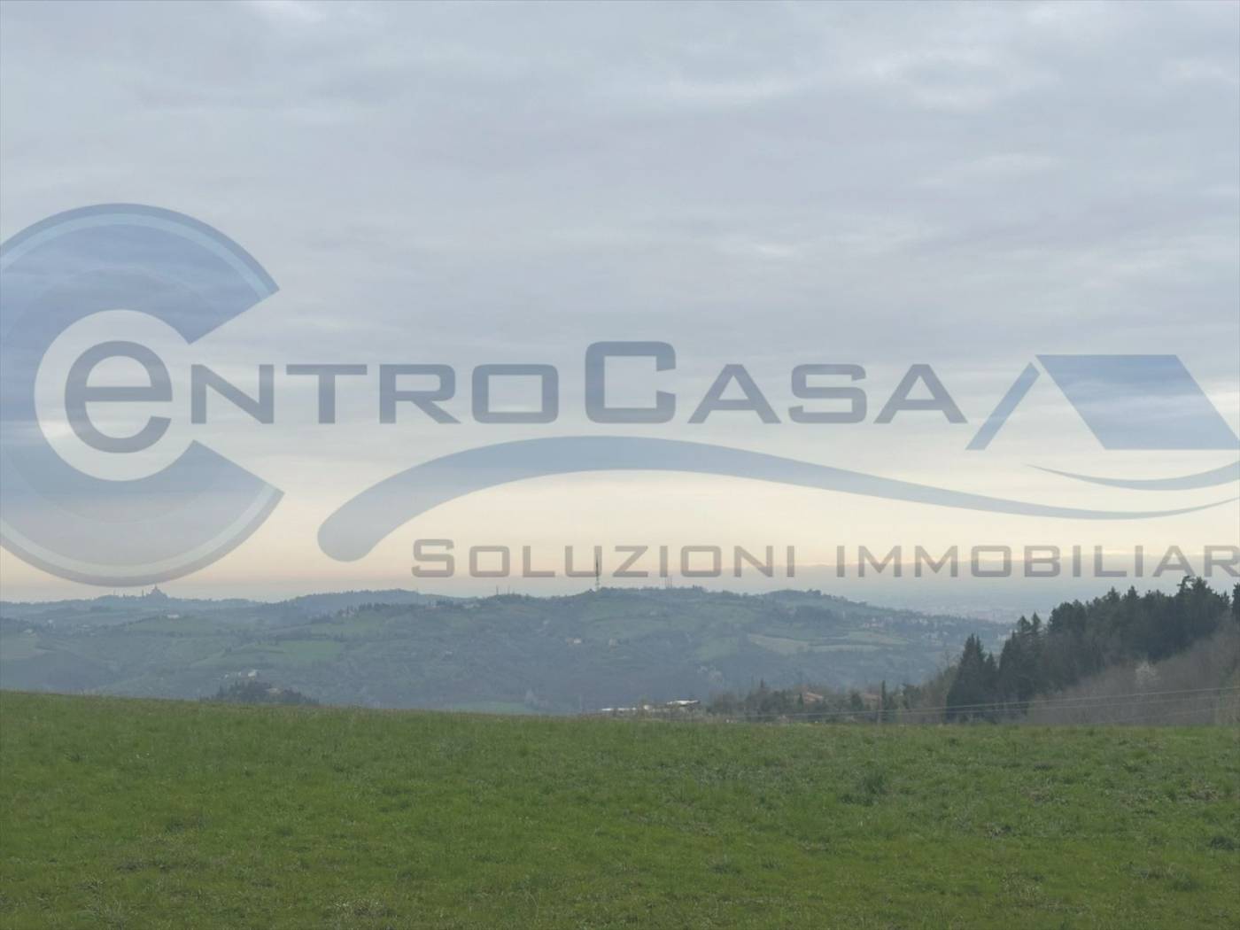 Vista