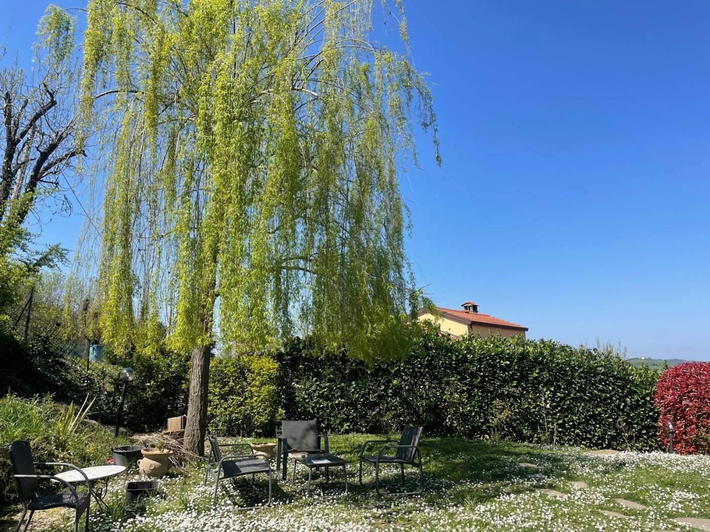 Giardino