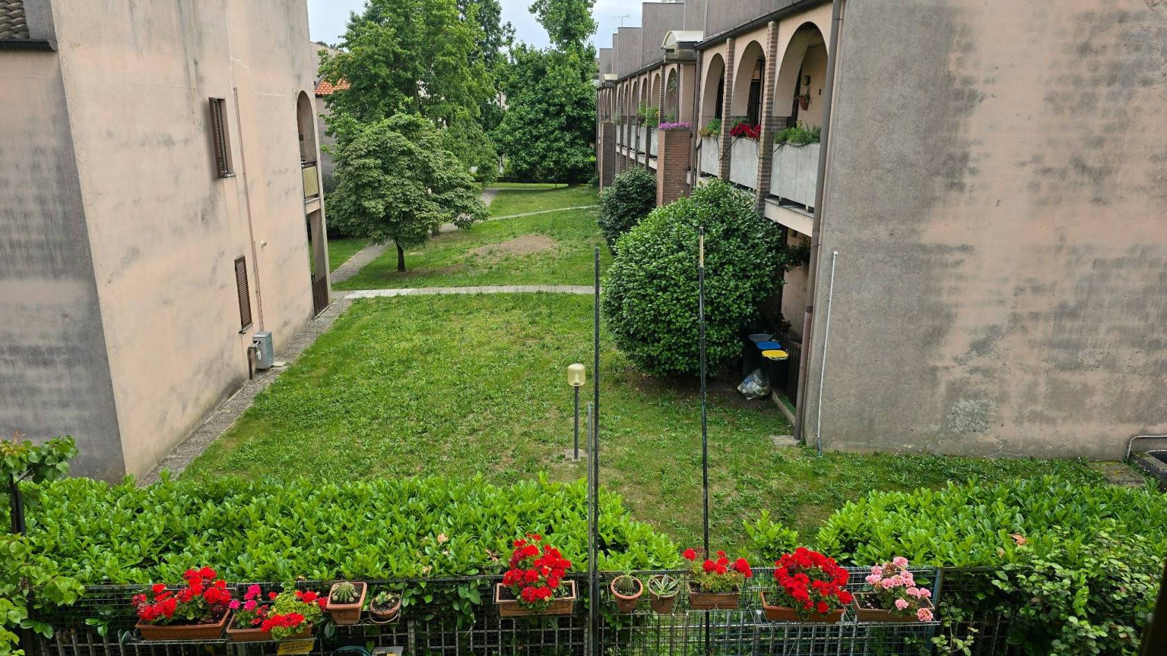 Giardino