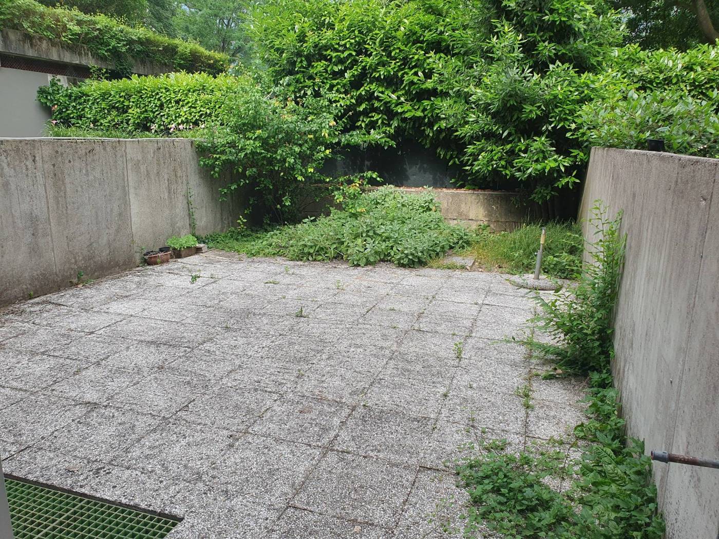 Giardino