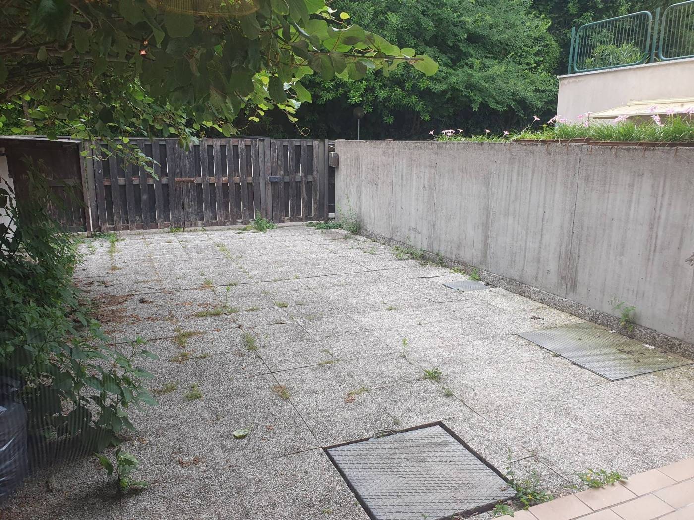 Giardino