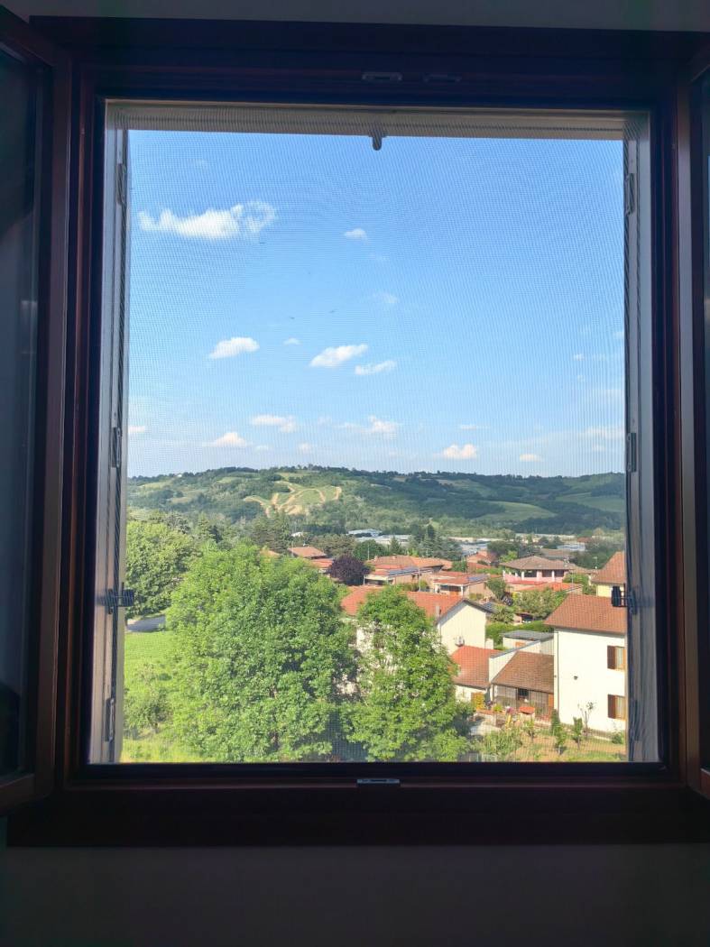 Vista