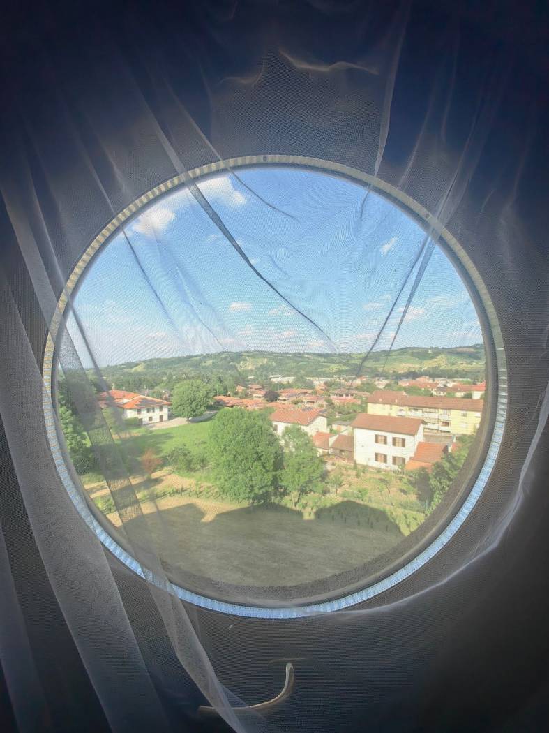Vista