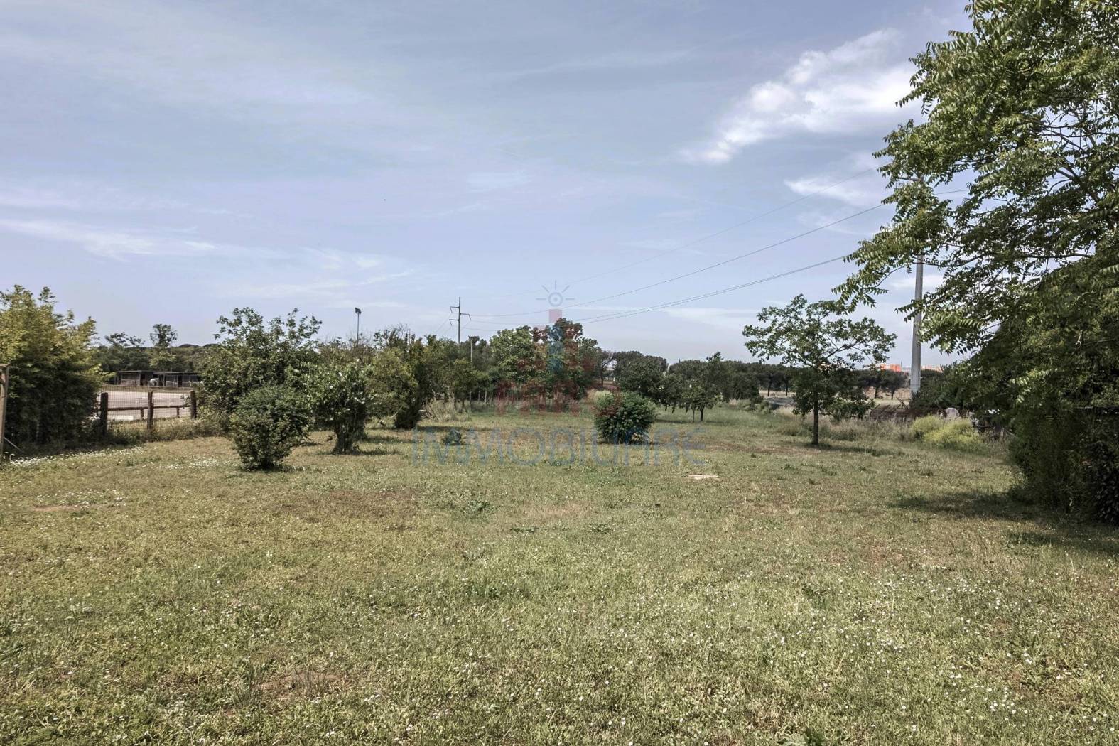 Terreno Terreno