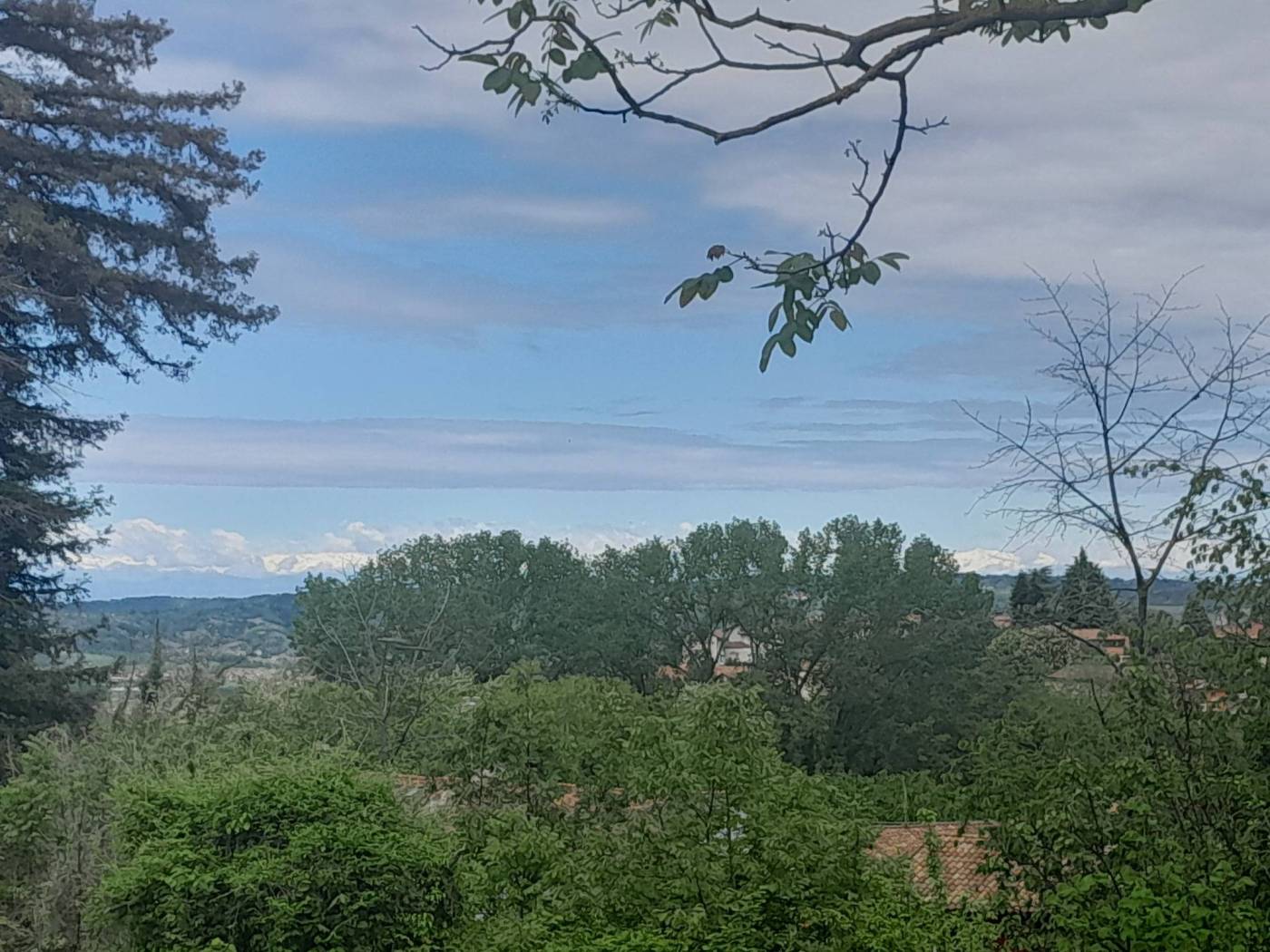 Vista