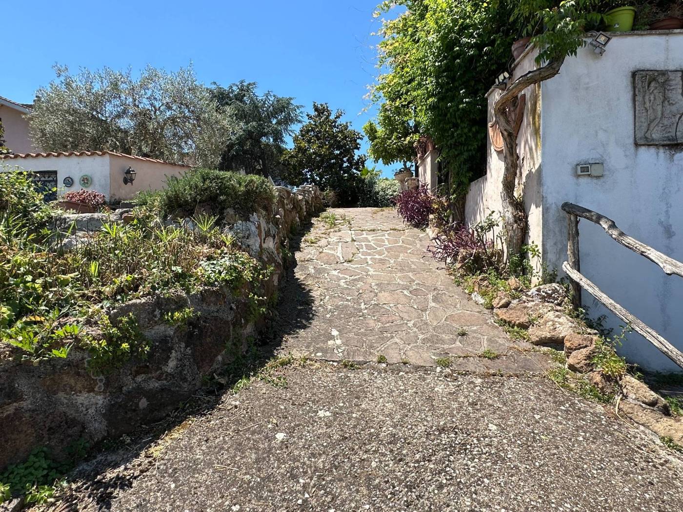 Giardino