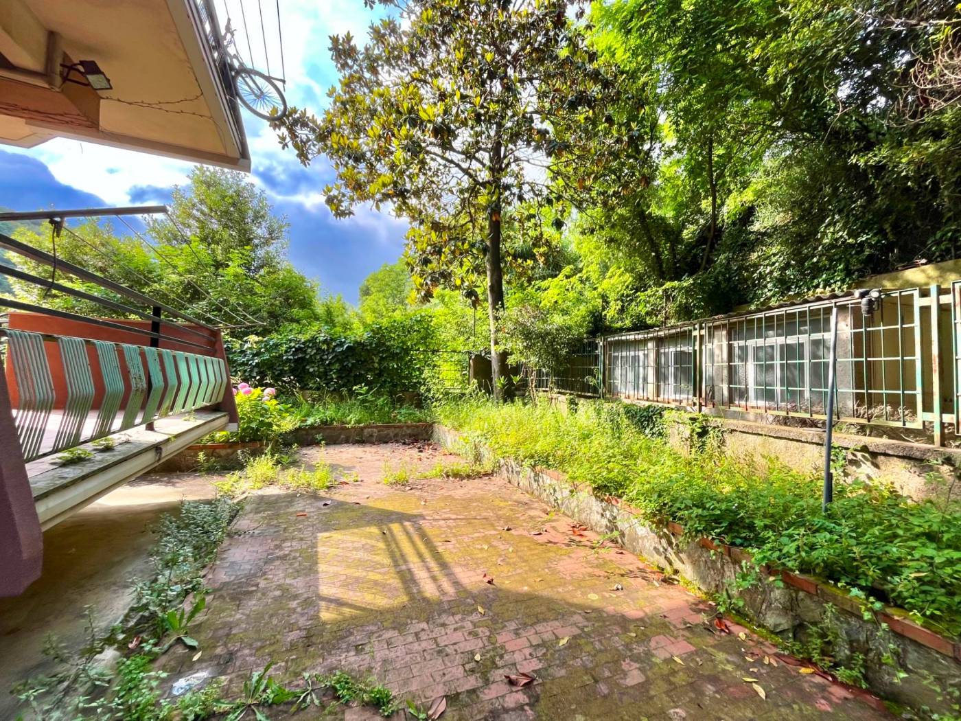 Giardino