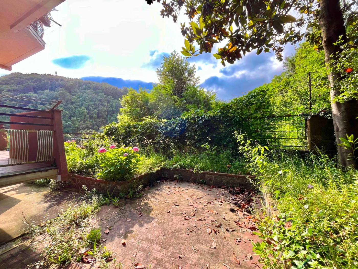 Giardino