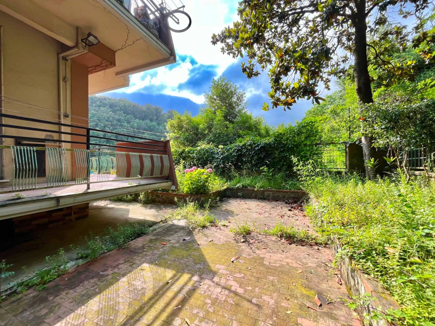 Giardino