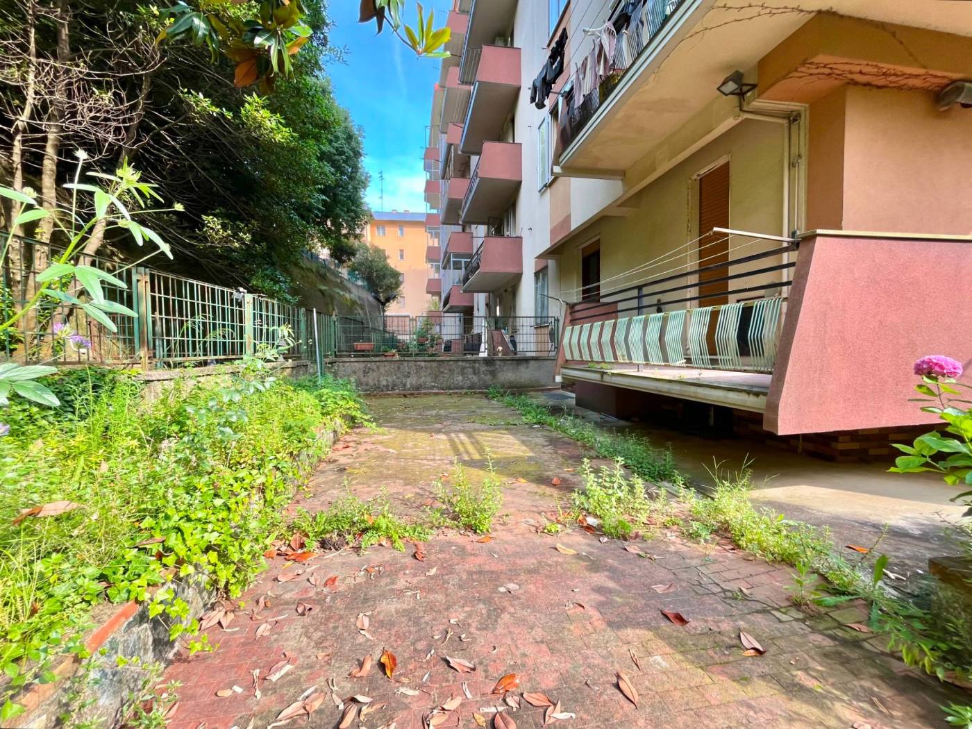 Giardino