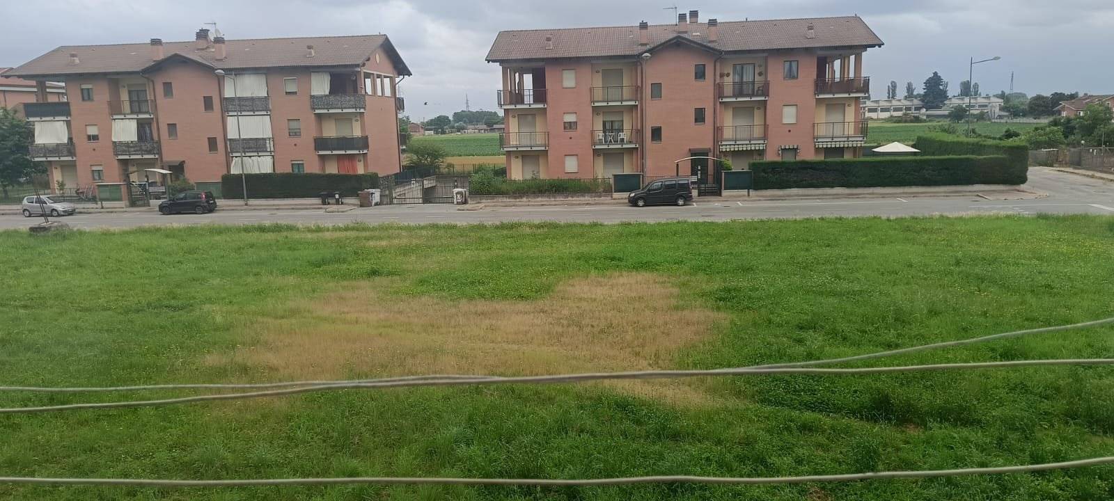 Vista
