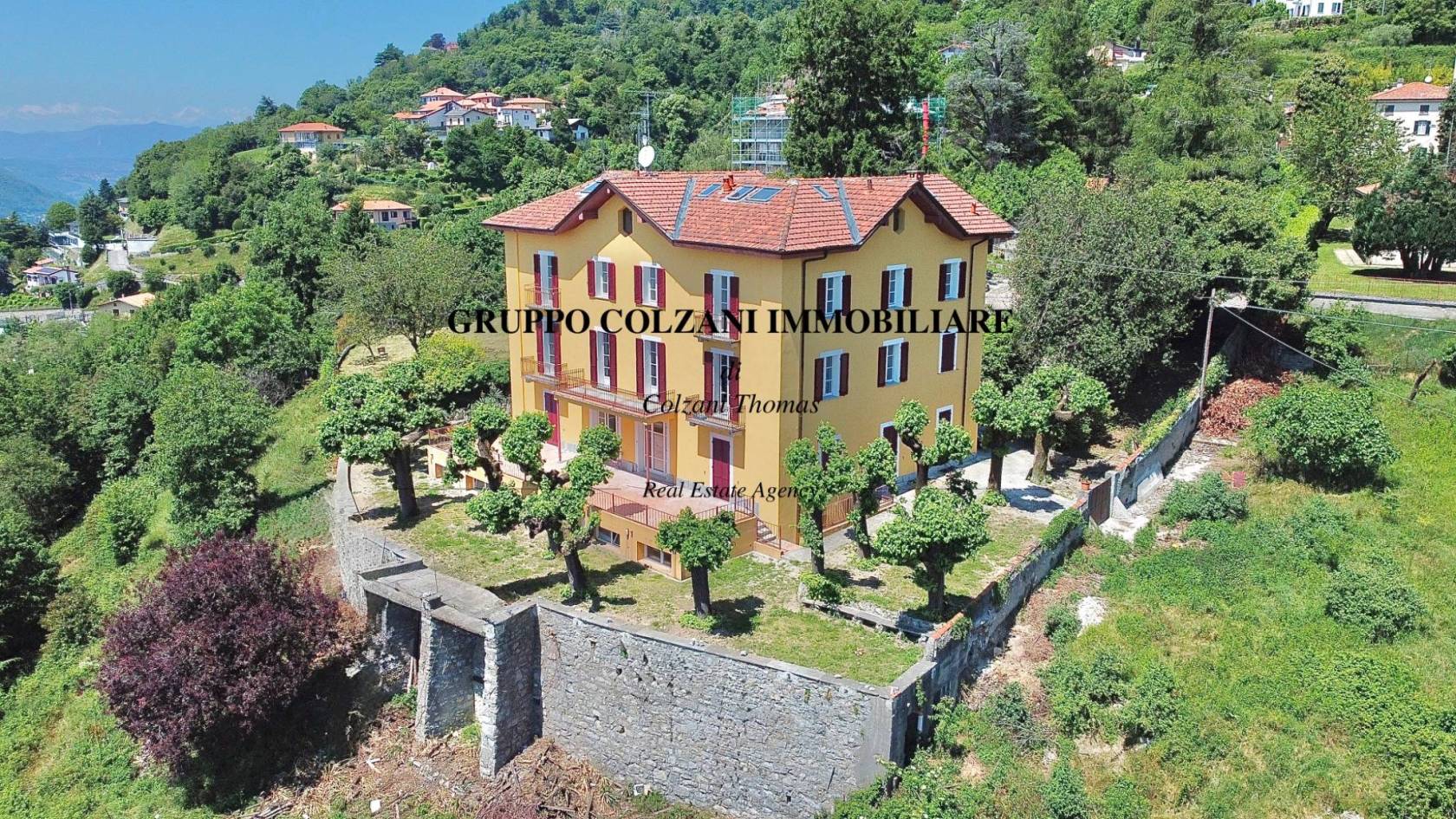 Vista