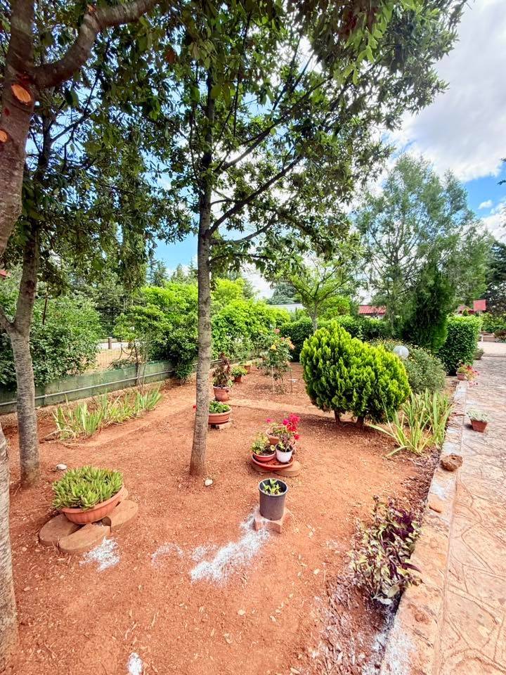 Giardino