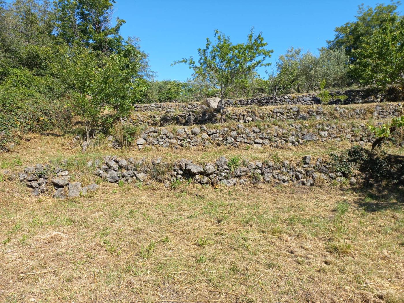 Terreno Terreno