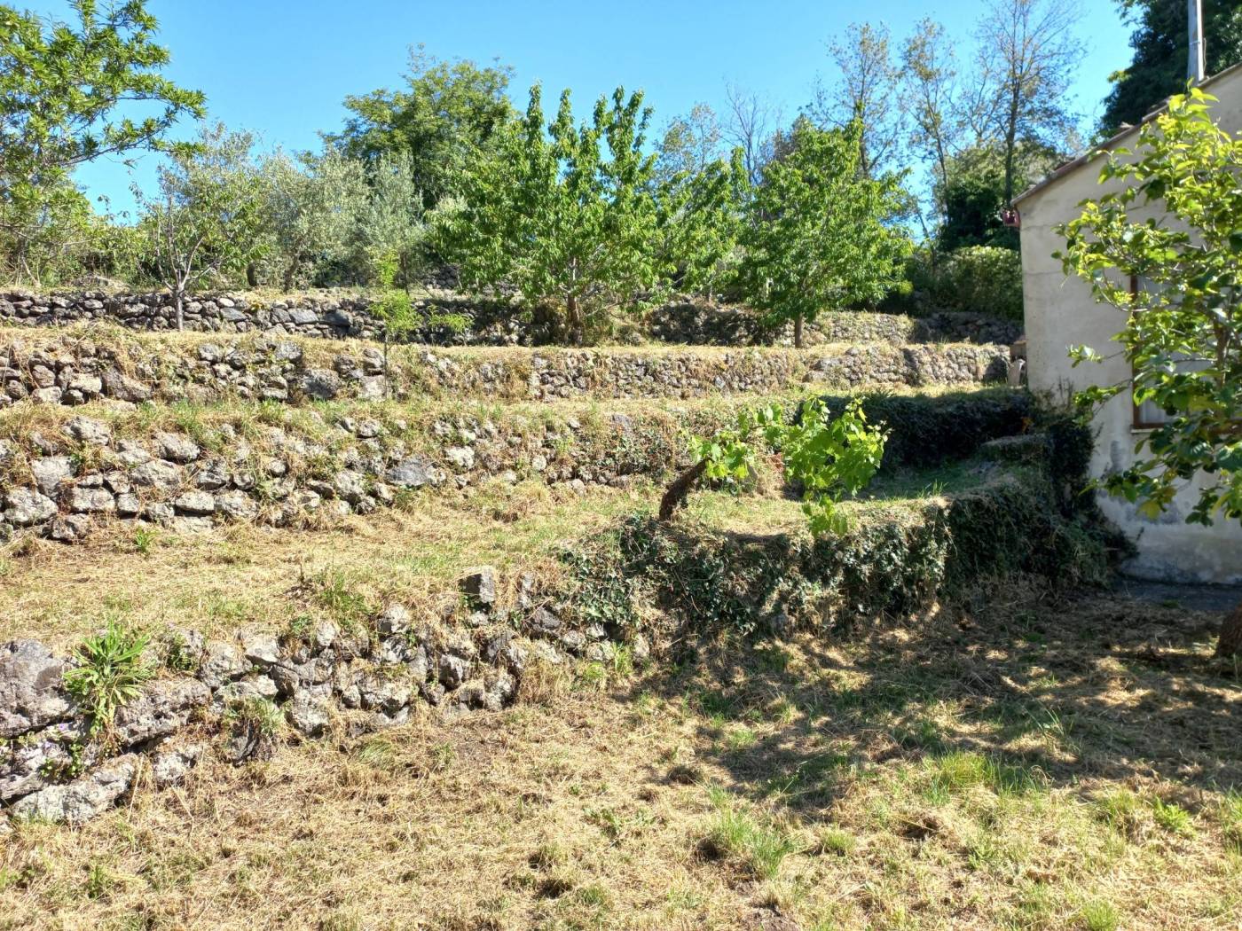 Terreno Terreno