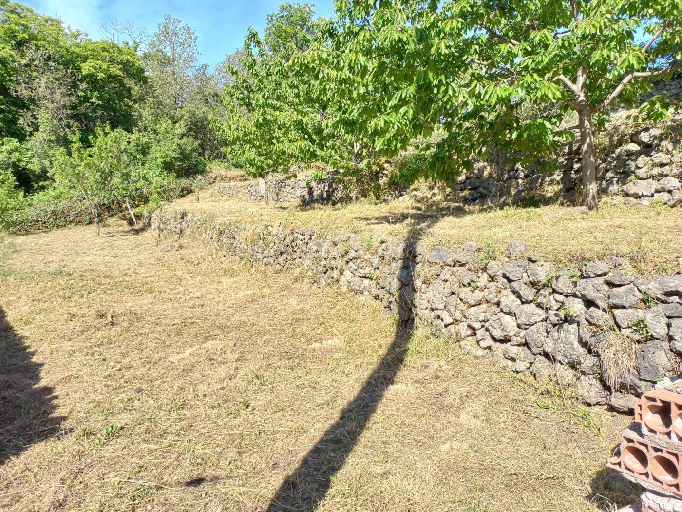 Terreno Terreno