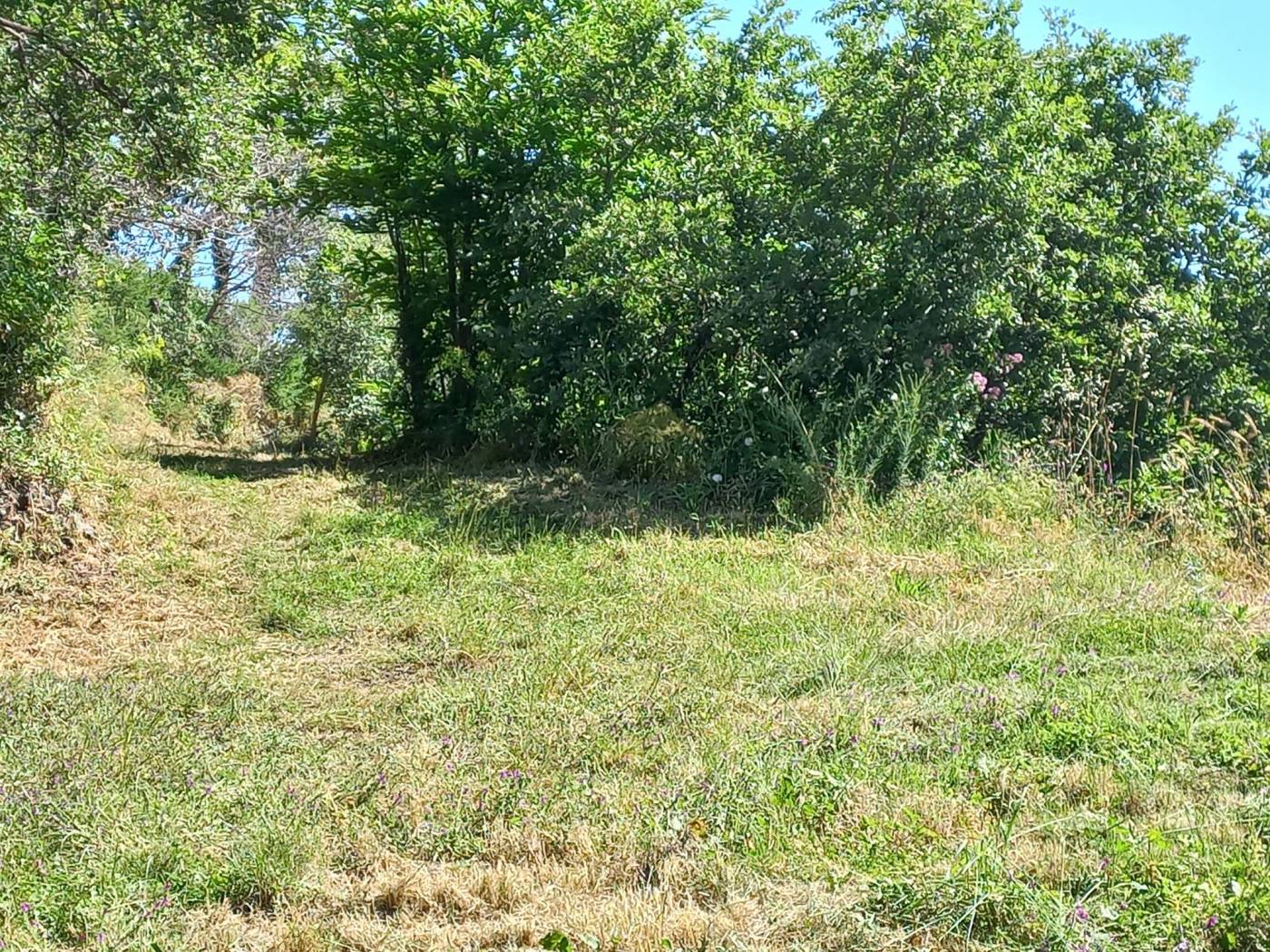 Terreno Terreno